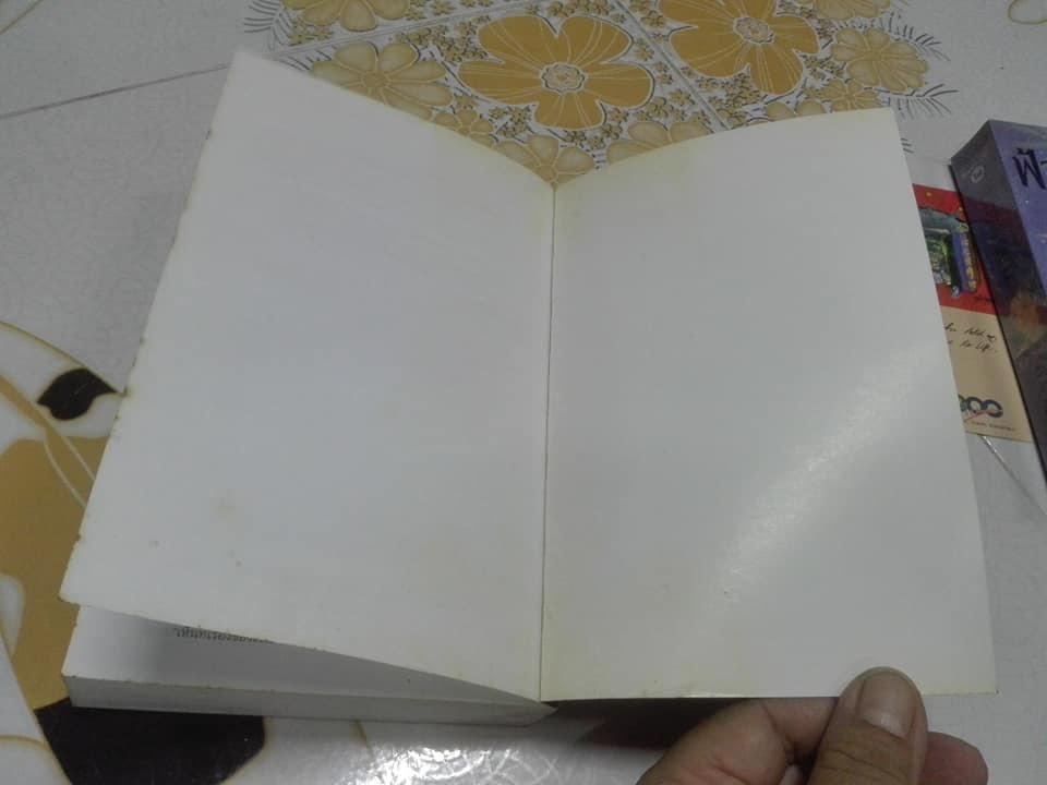 มีเพียงรัก (เล่มเดียวจบ) โดย กิ่งฉัตร