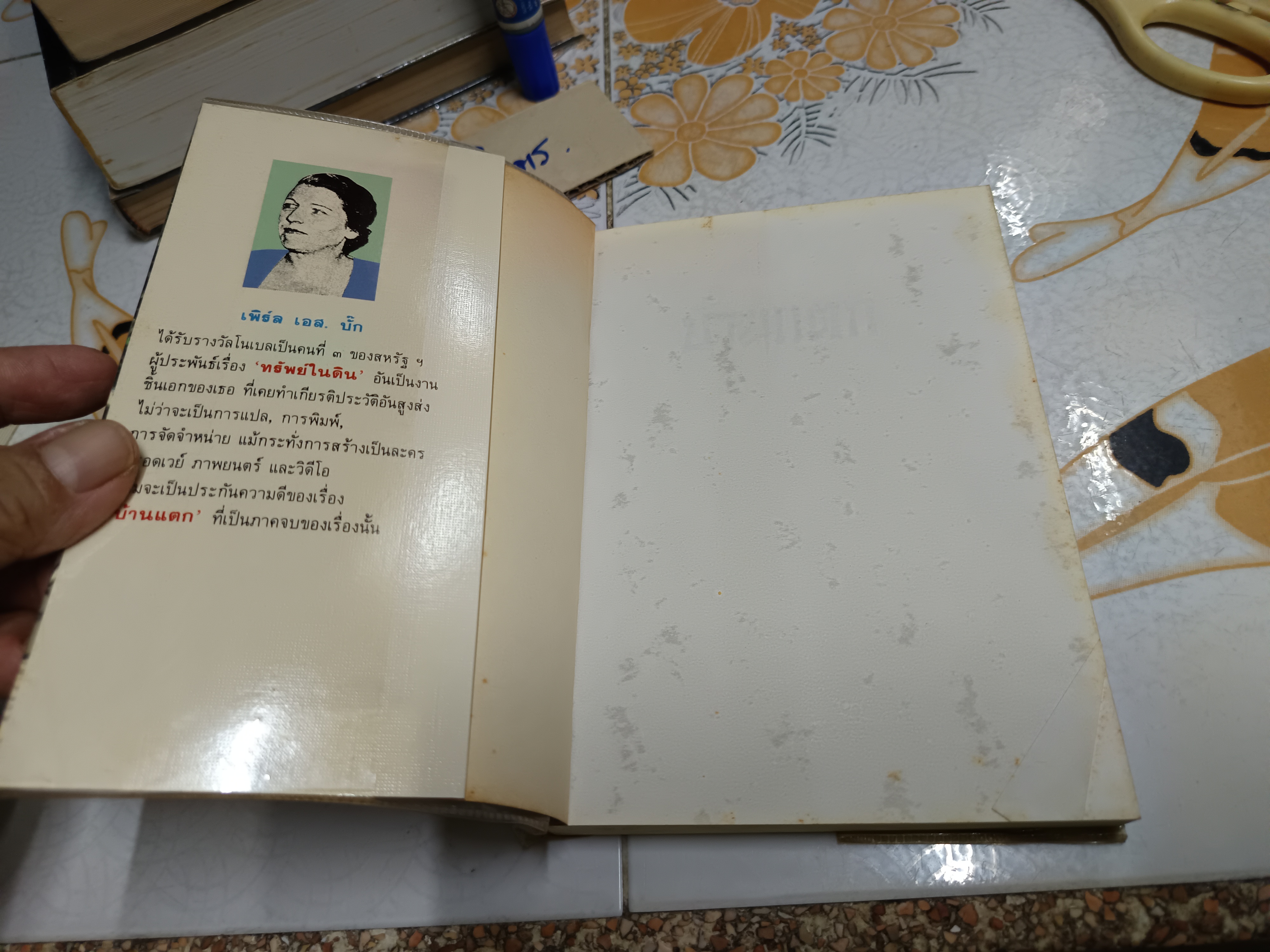 บ้านแตก A House Divided เพิร์ล เอส. บั๊ก เขียน สันตสิริ แปล พิมพ์ครั้งแรก 2535 ของสำนักพิมพ์ดอกหญ้า **สินค้าหมด**