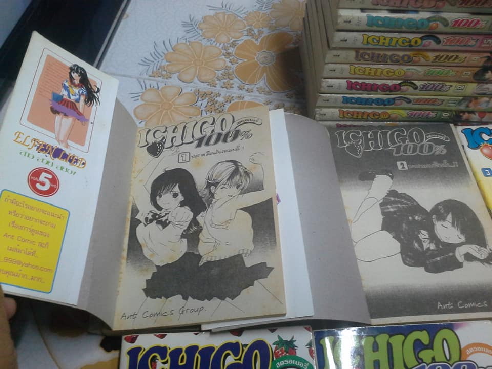 การ์ตูน ICHIGO 100 % - 19 เล่มจบ (สนพ.ANT)
