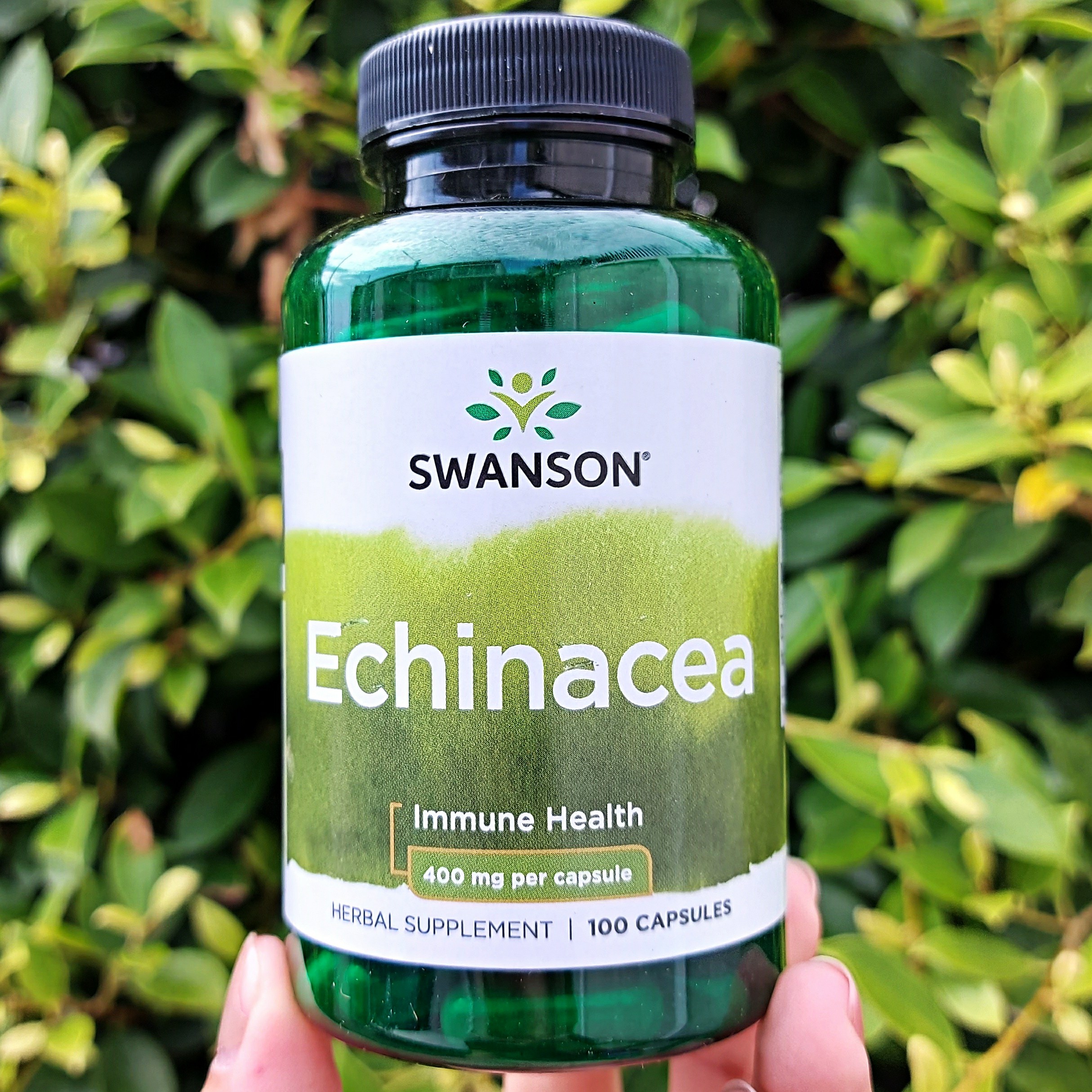 เอ็กไคนาเซีย Echinacea 400 mg 100 capsules (Swanson®) สร้างภูมิคุ้มกันและเสริมสร้างความแข็งแรงของร่างกาย