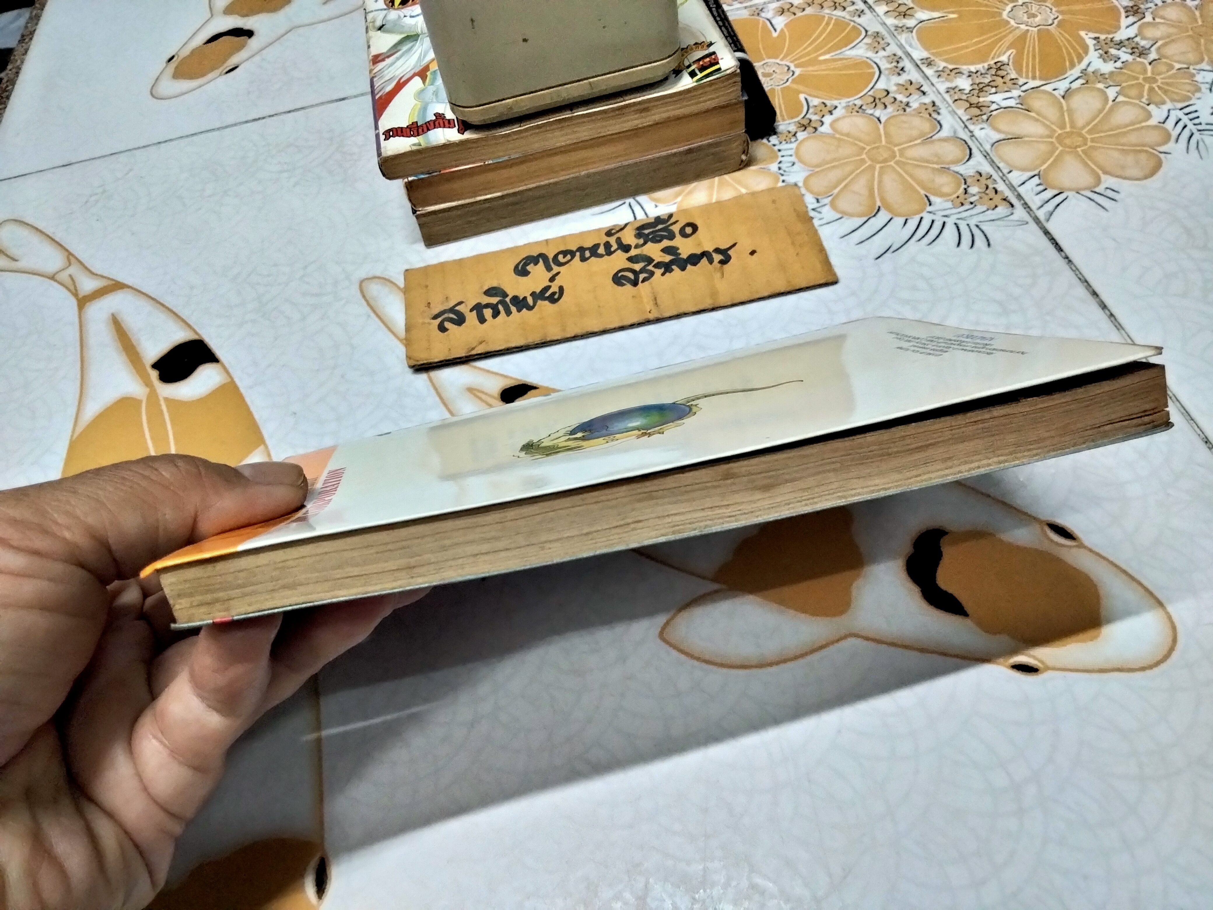 ภูตพรายแห่งทุ่งอ้อ (เล่มเดียวจบ) **สินค้าหมด**