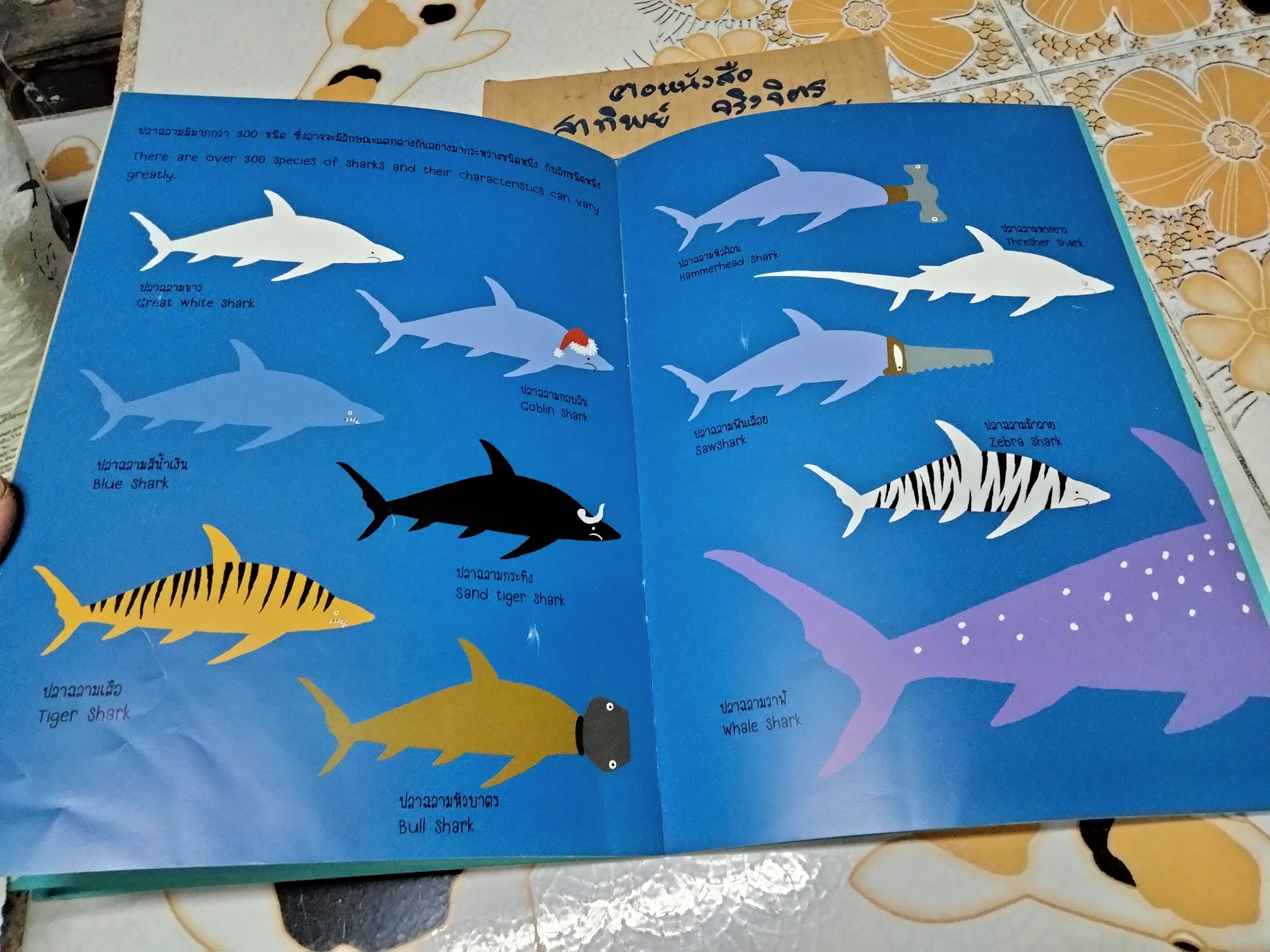 ปลาฉลาม (Sharks) หนังสือสองภาษา ไทย-อังกฤษ ผู้แต่ง ทัตสุ นากาตะ **สินค้าหมด**