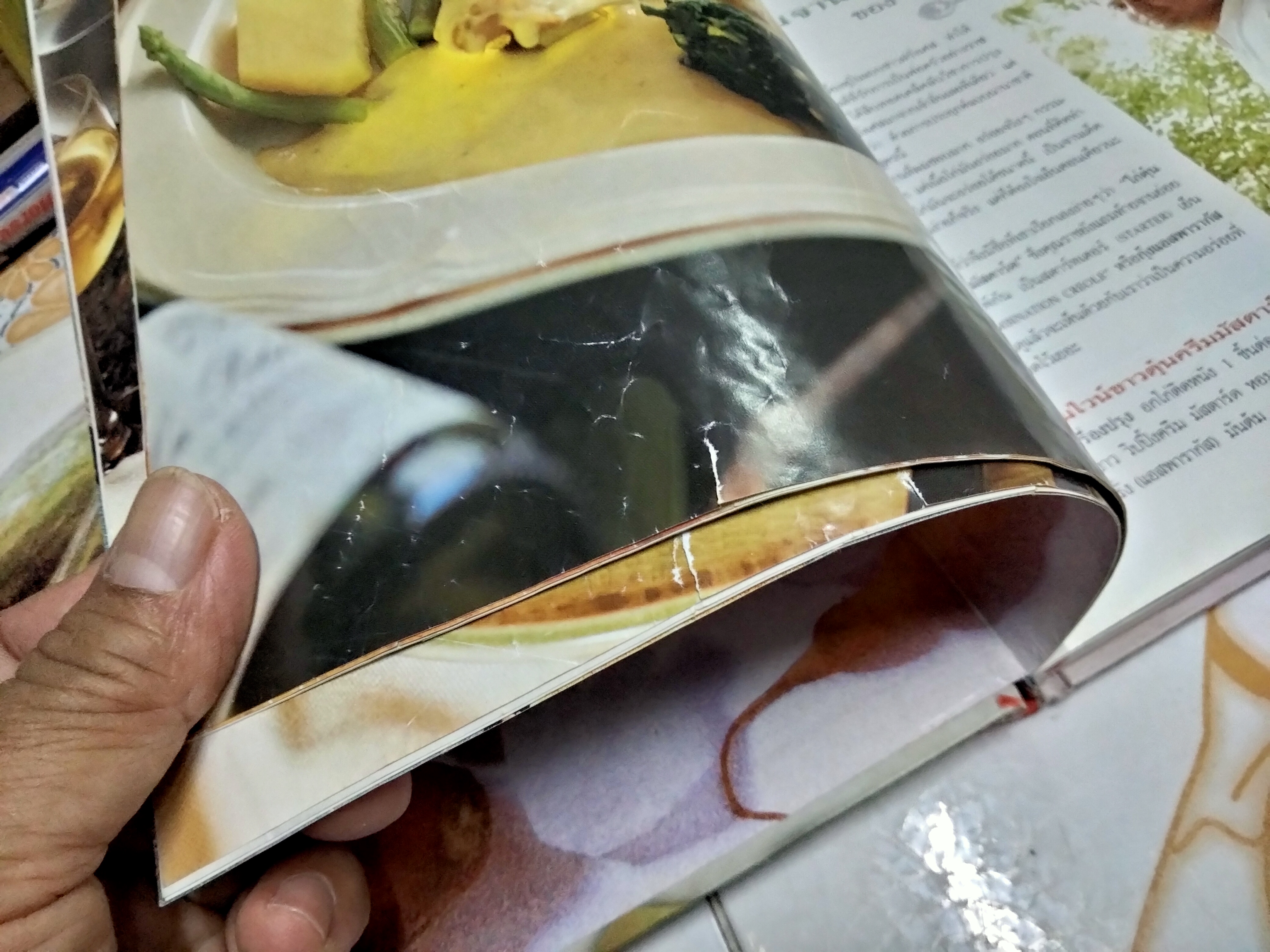 อาหารจานโปรด จัดทำโดย นิตยสาร Life & Decor ตำรับอาหารจานโปรดของแขกรับเชิญกิตติมศักดิ์