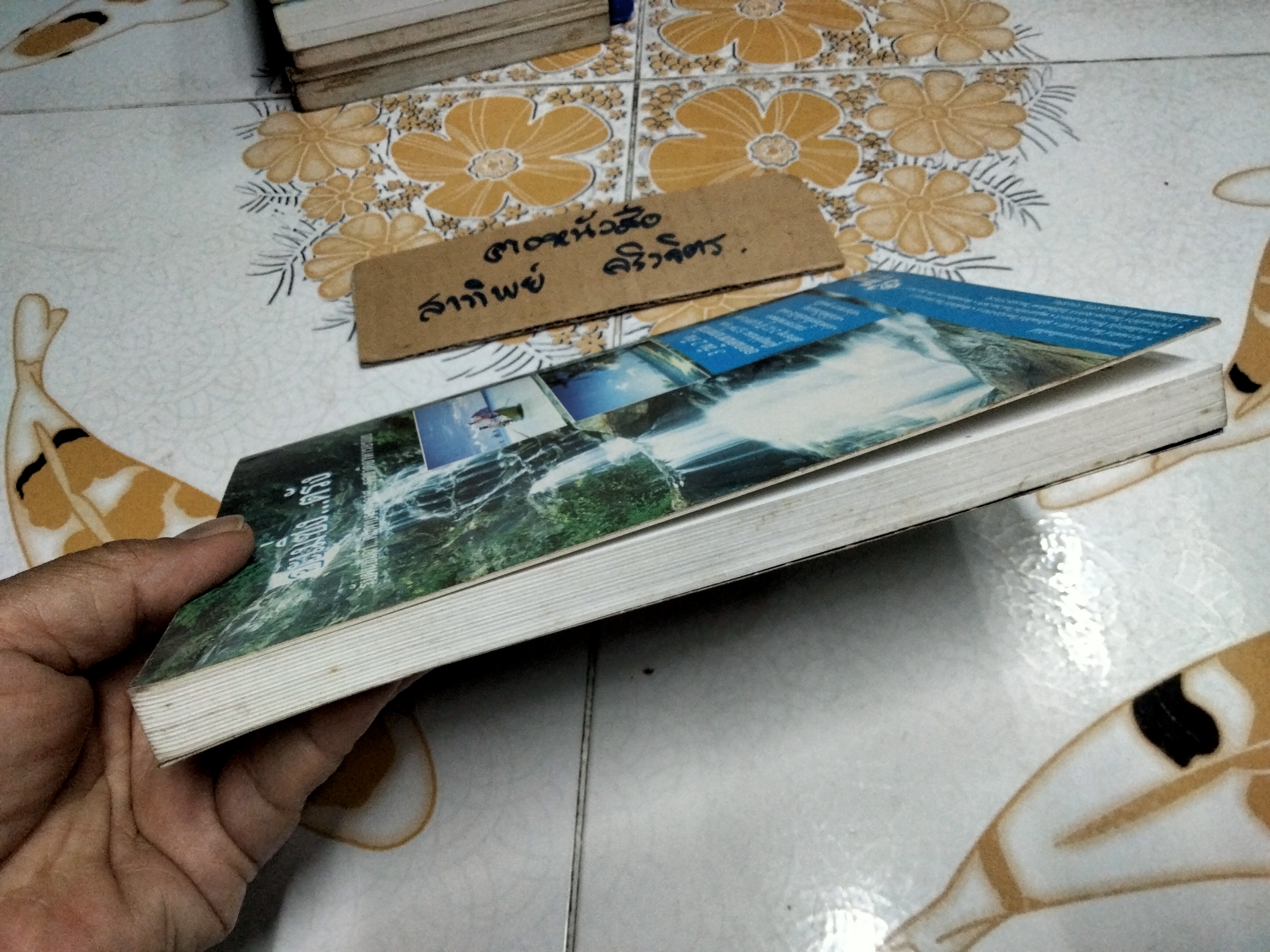 แฟ้มชีวิต... พุฒ ล้อเหล็ก ยอดมวยไทยในกึ่งศตวรรษ โดยอ่วม บางอ้อ / คำนิยมโดย พิษณุ นิลกลัด **สินค้าหมด**
