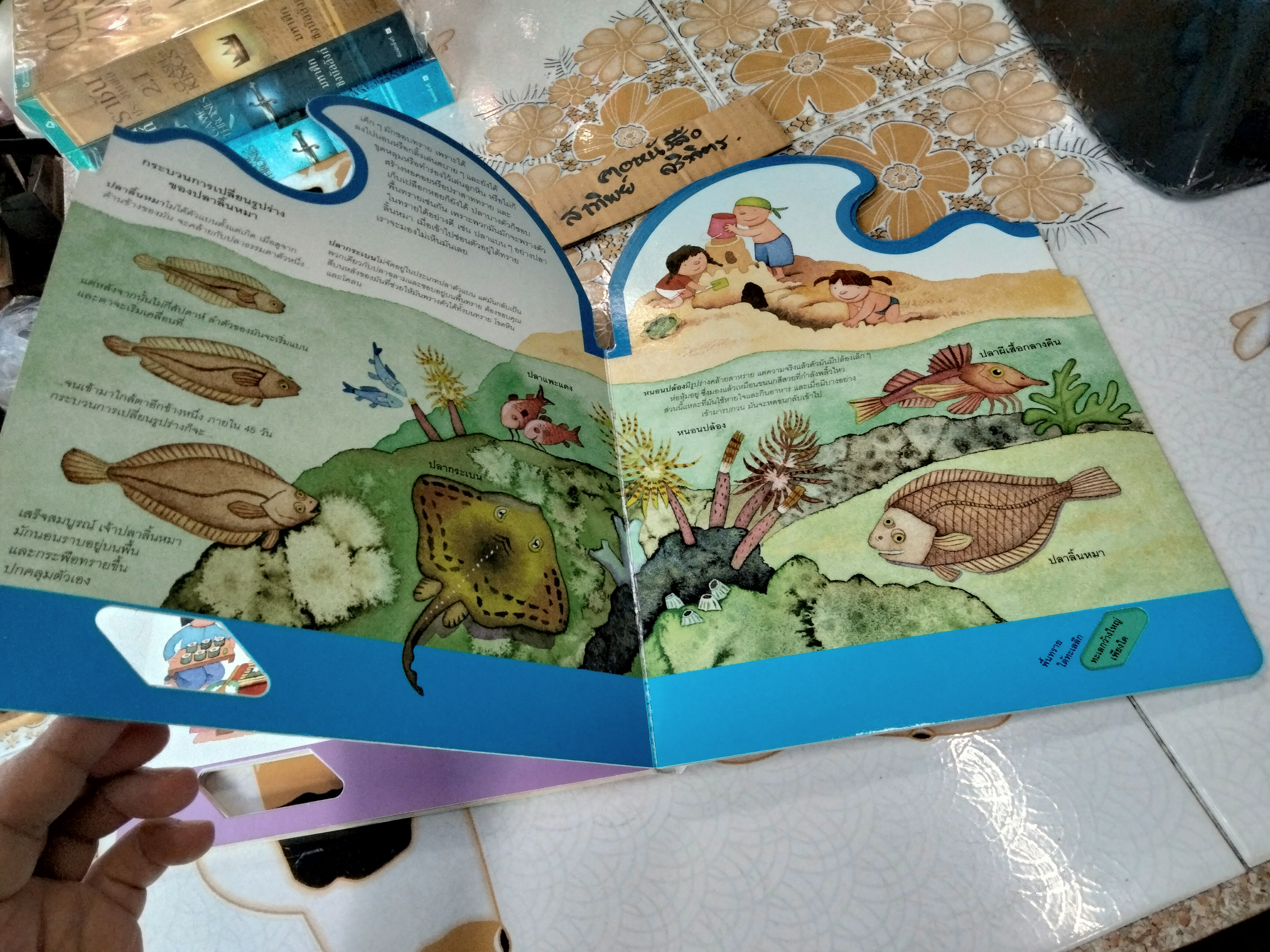 ในท้องทะเล - หนังสือชุดเรียนรู้โลกรอบตัว ชุดที่ 2 - สนพ. Happy Kids **สินค้าหมด**