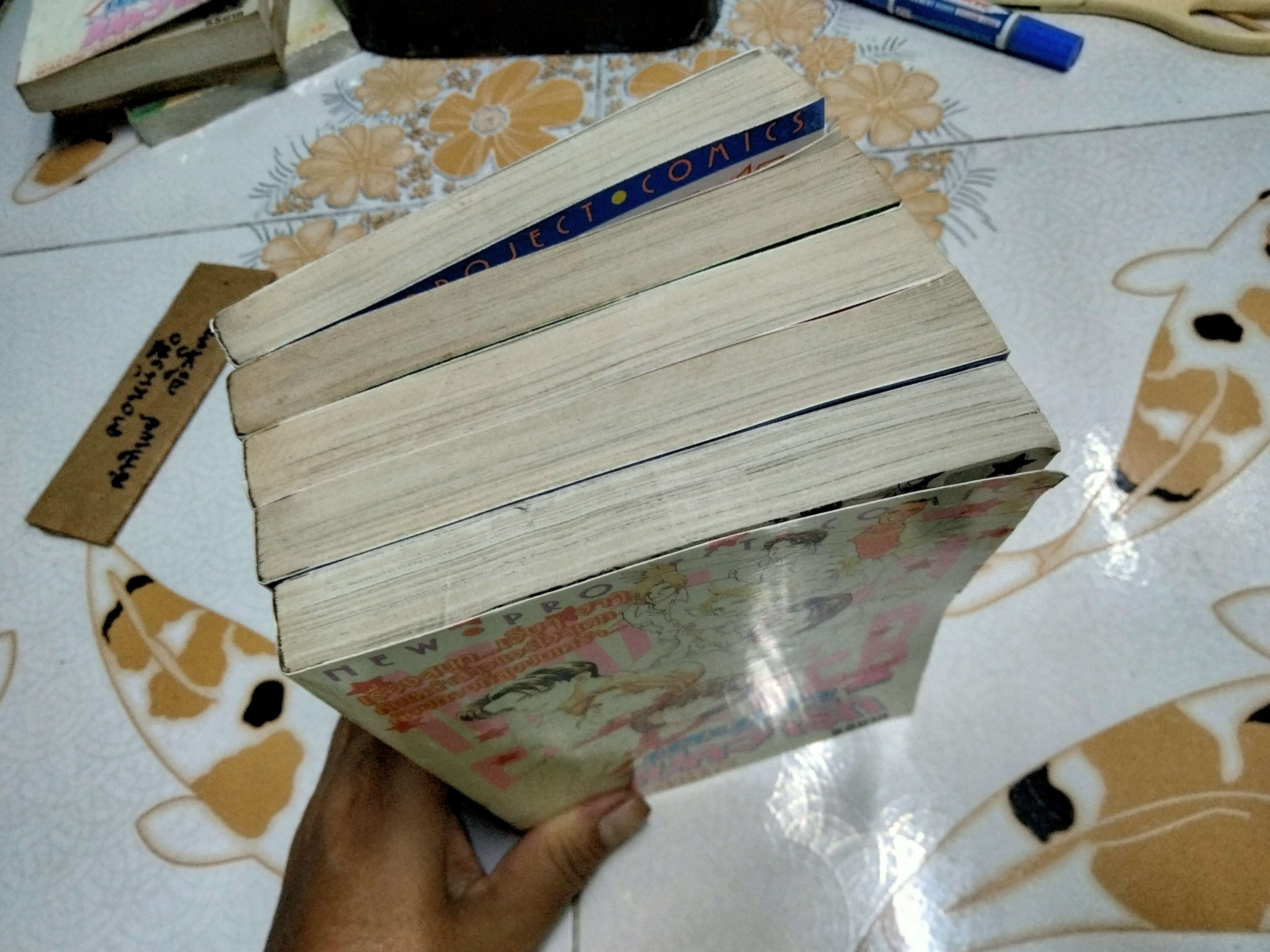 เหินฟ้าไปคว้ารัก ครบชุด , WAKUNI AKISATO (4 ภาค - 5 เล่มจบ)