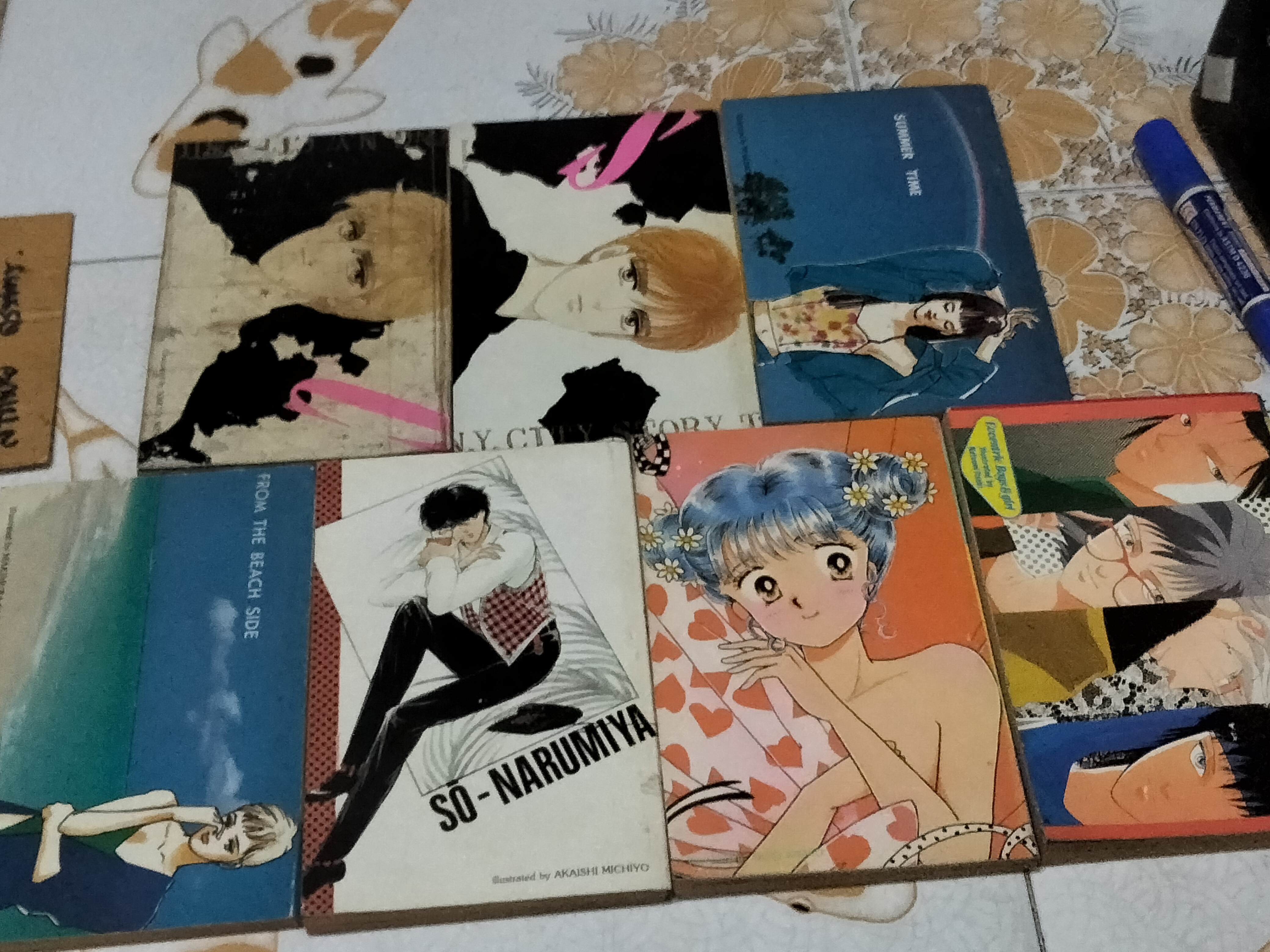 รักทระนง 7 เล่มจบ HIJIRI CHIAKI **สินค้าหมด**