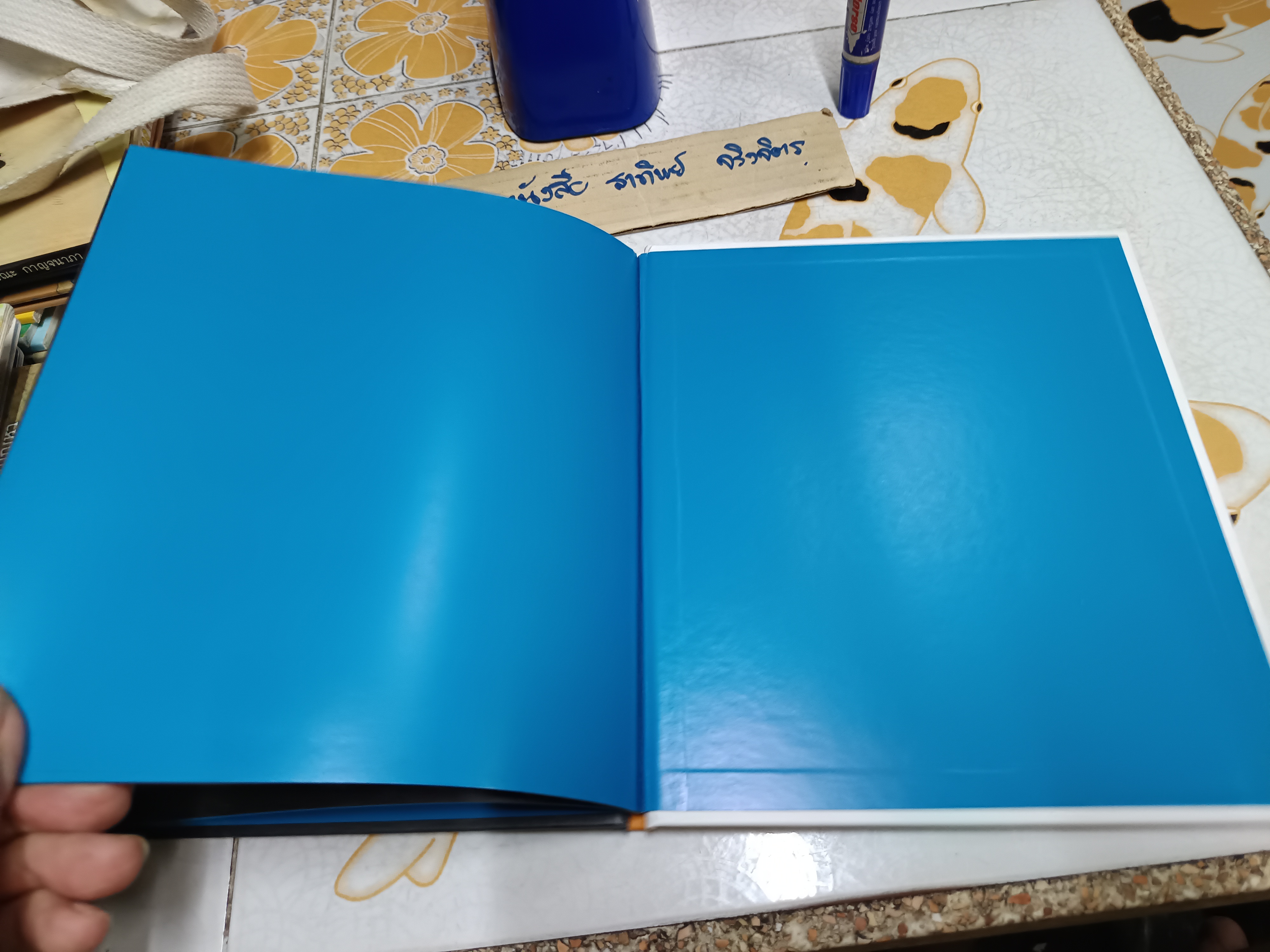 เล่นแสงไฟฉาย (ปกแข็ง) สำนักพิมพ์ : Amarin Kids พิมพ์ 2/2560