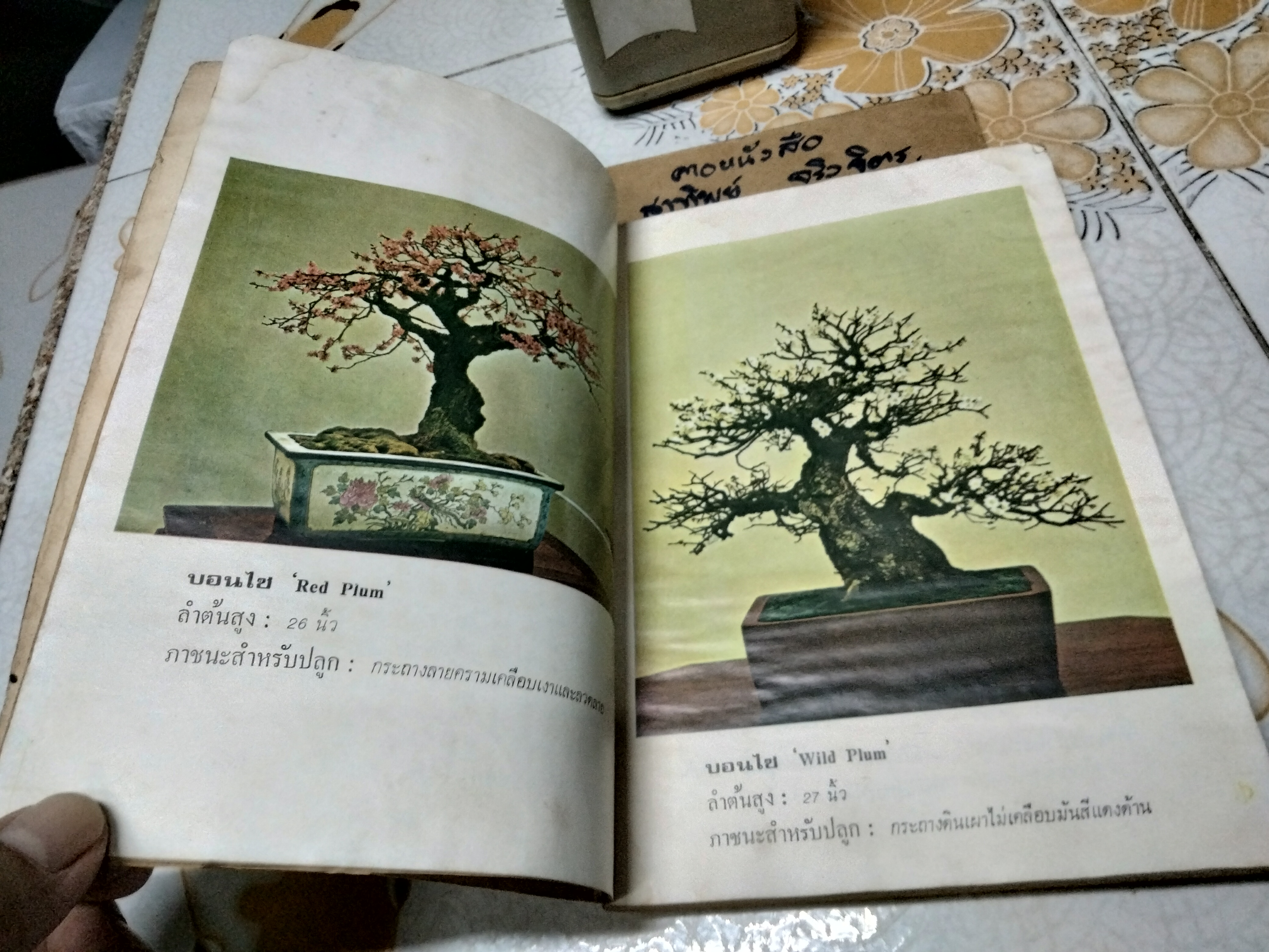 ตำราปลูกเลี้ยง และขยายพันธุ์ บอนไซ BONSAI โดยคณะอาจารย์วิทยาลัยเกษตรศาสตร์