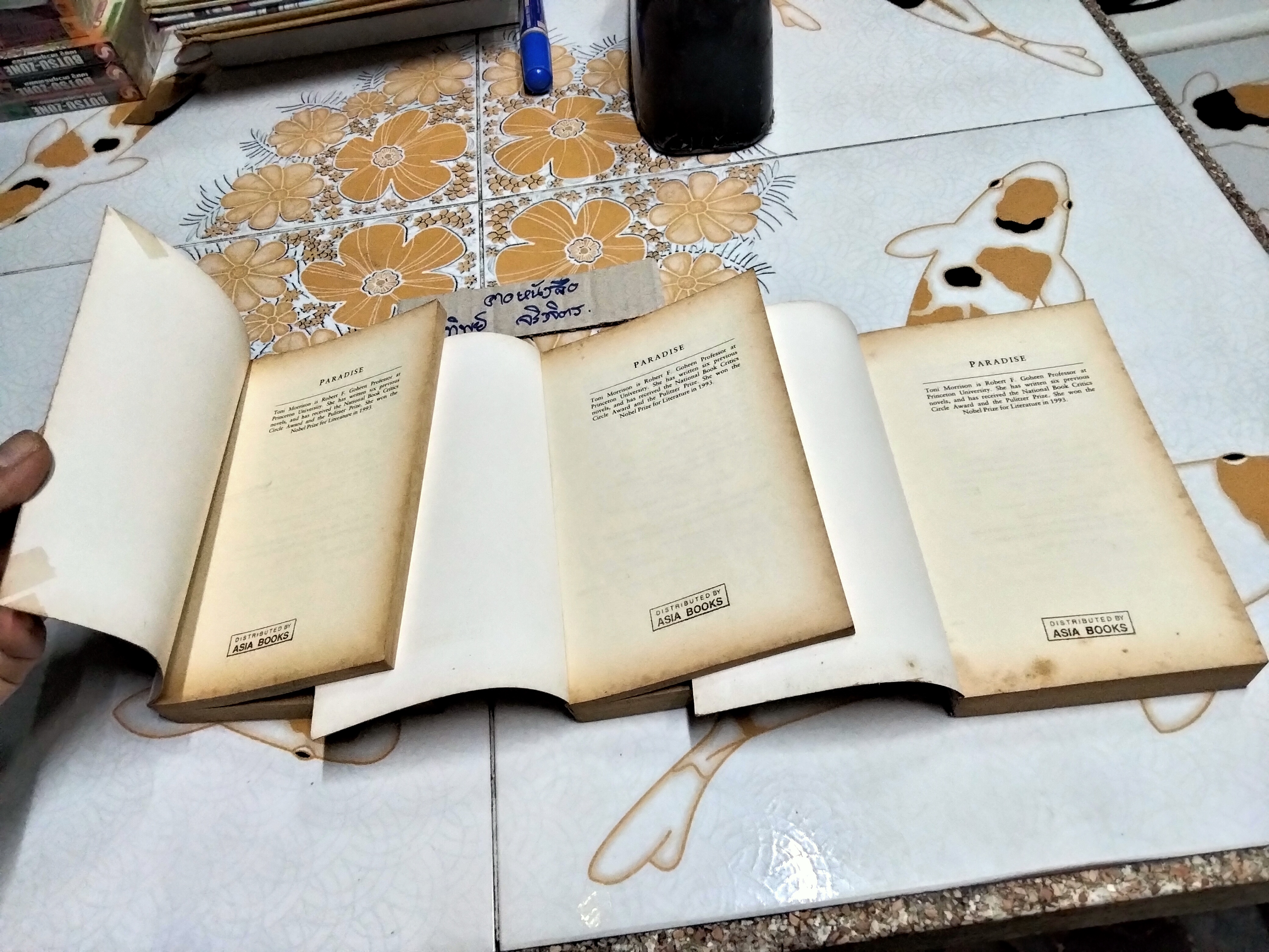 PARADISE by TONI MORRISON