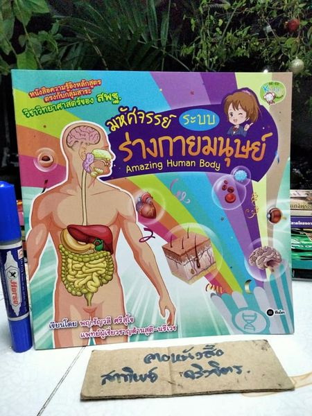 มหัศจรรย์ระบบร่างกายมนุษย์ Amazing Human Body - พ.ญ. ชัญวลี ศรีสุโข : หนังสือความรู้อิงหลักสูตรตรงกับกลุ่มสาระวิชาวิทยาศาสตร์ของ สพฐ.