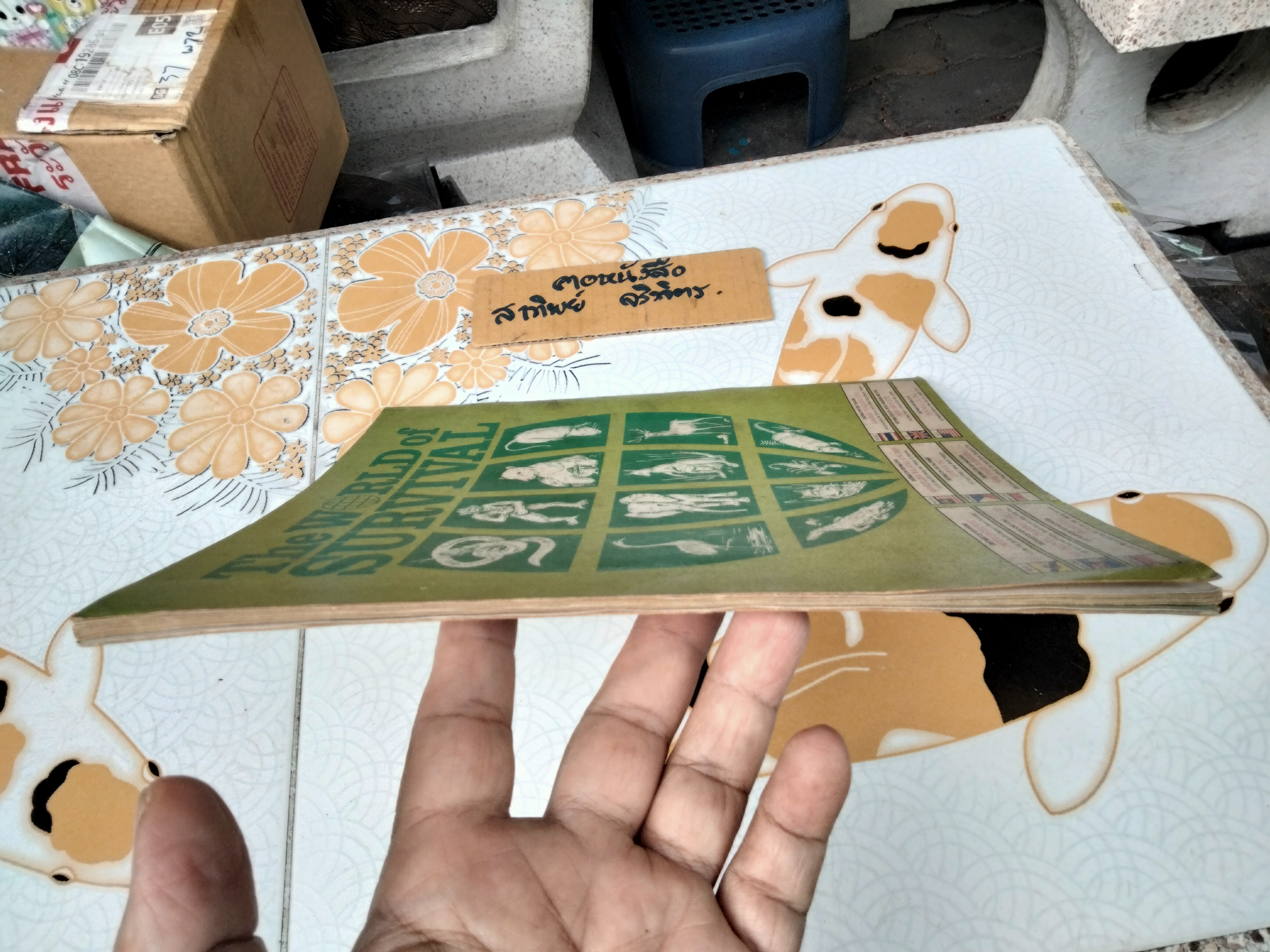 สมุดสะสมสติกเกอร์ ชีวิตสัตว์โลก (แปะไป 66 รูป/ 240 รูป)