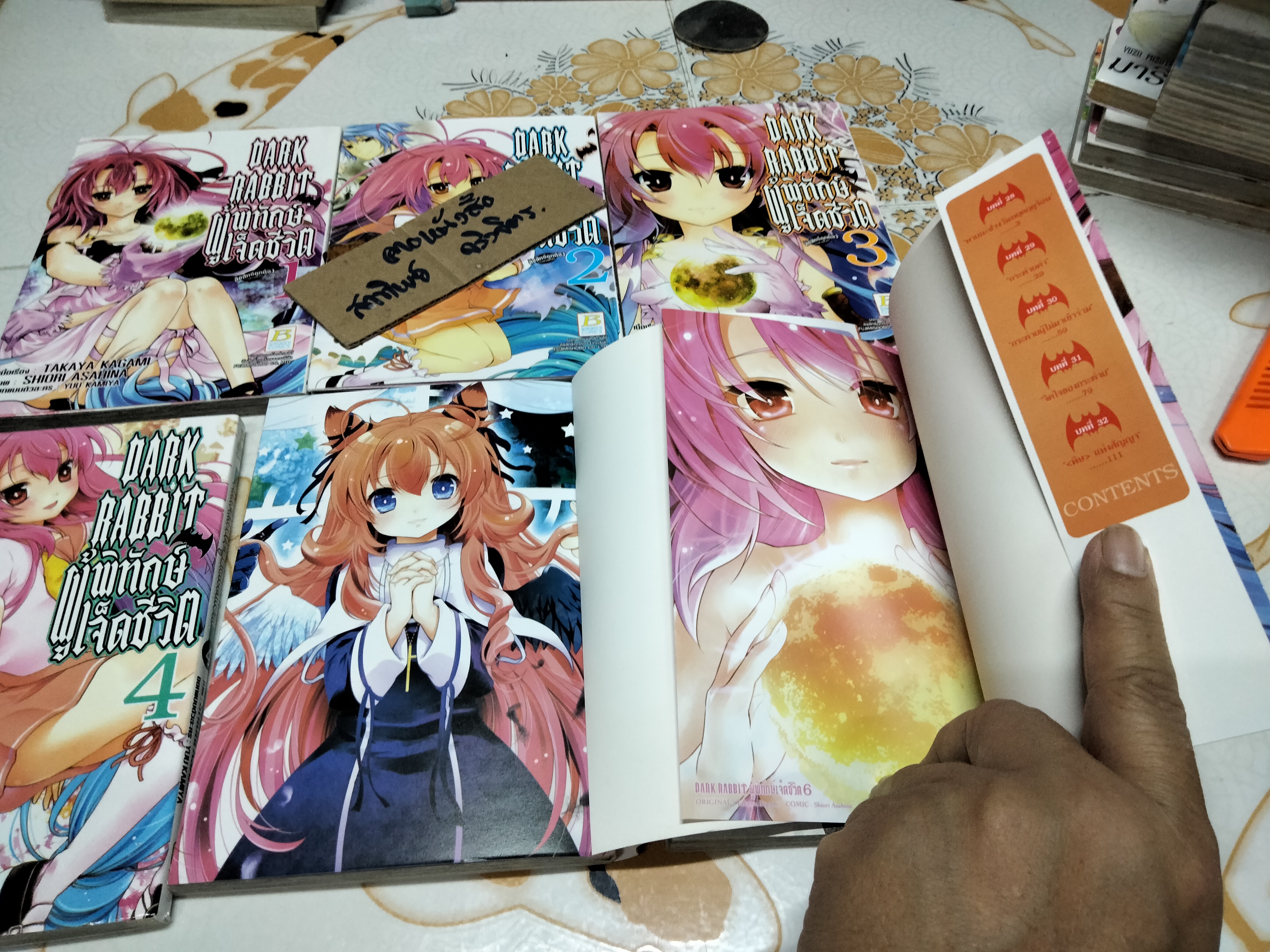 DARK RABBIT ผู้พิทักษ์เจ็ดชีวิต (6 เล่มจบ)