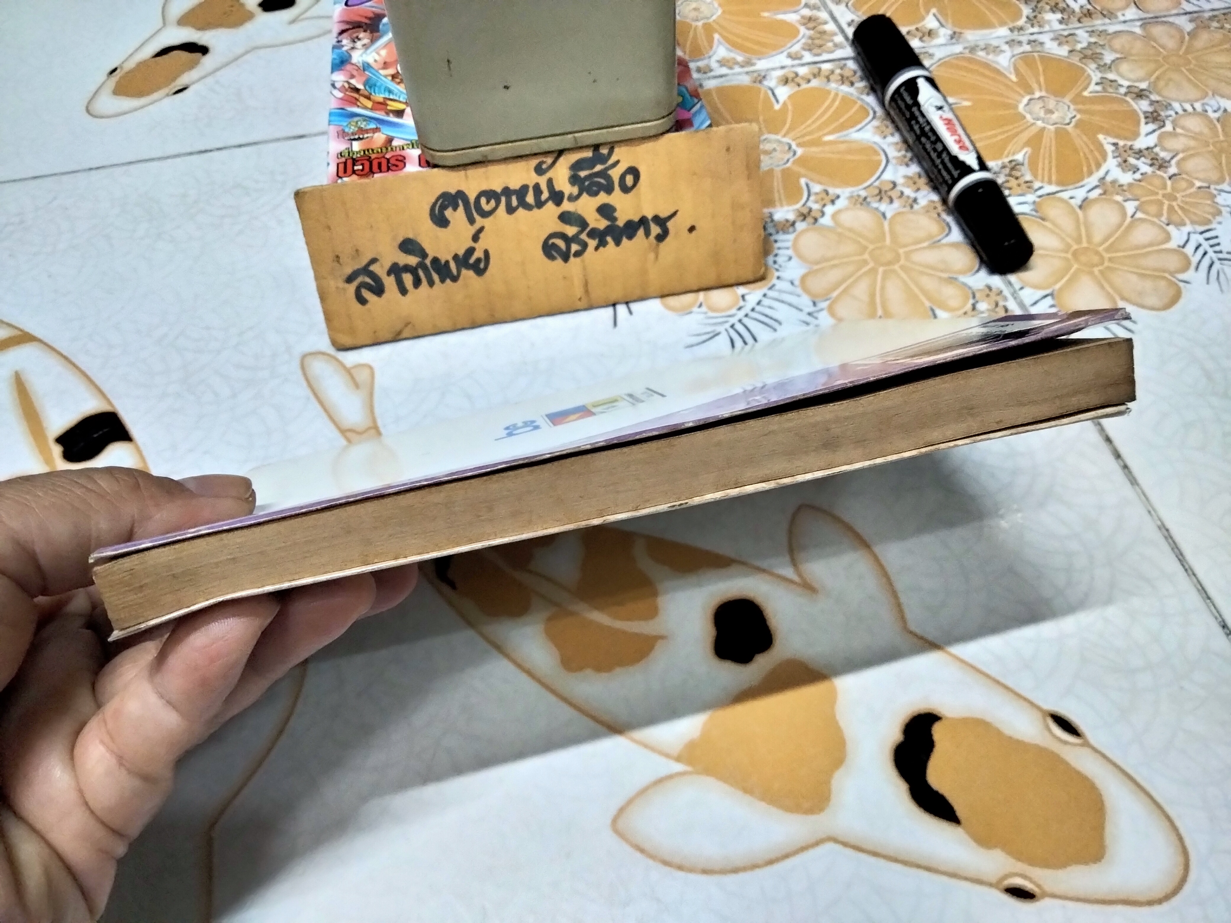 LOVE & PEACE - HARUTO UMEZAWA (เล่มเดียวจบ)