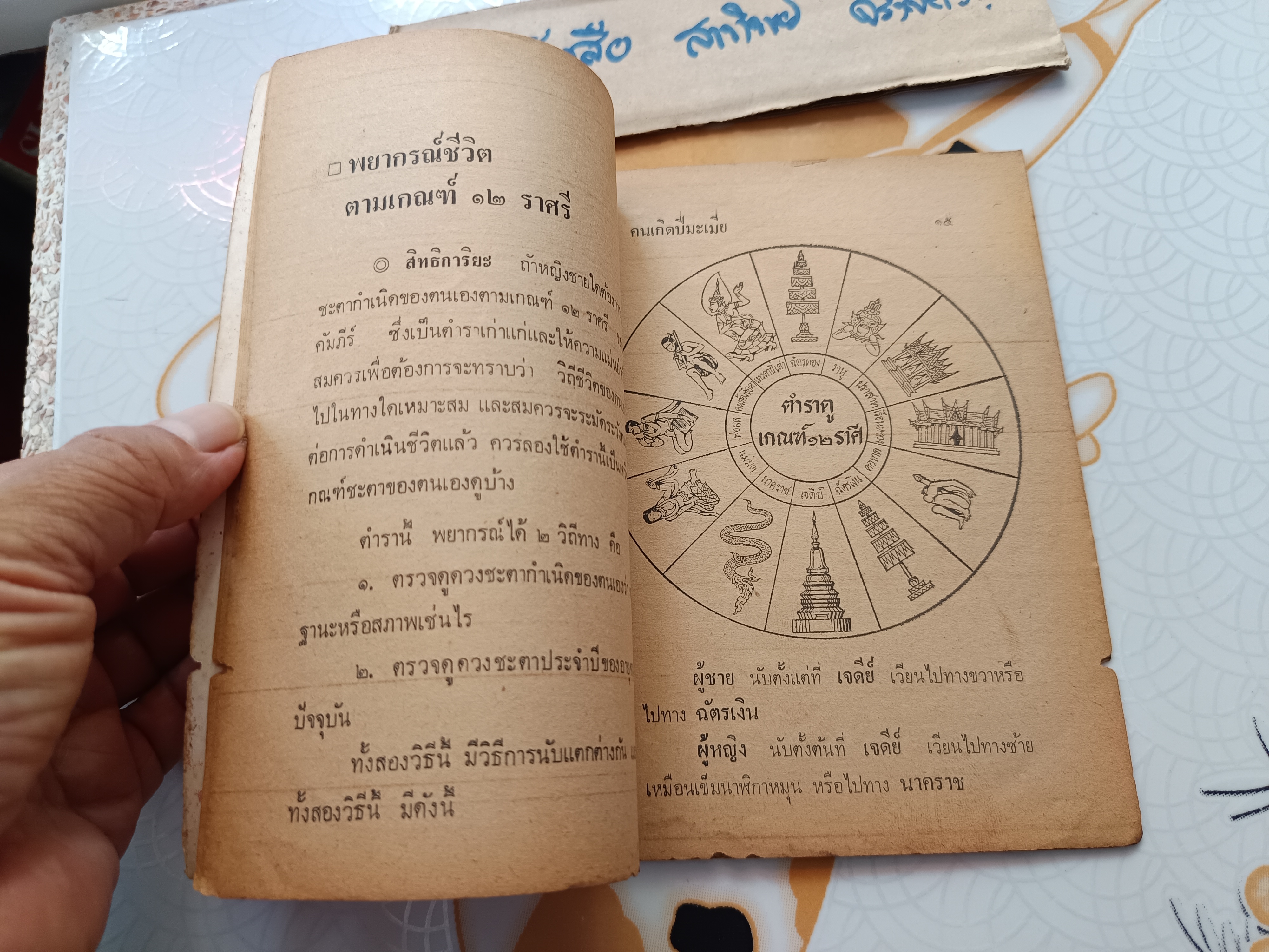 พยากรณ์ชีวิต คนเกิดปีมะเมีย (ม้า)