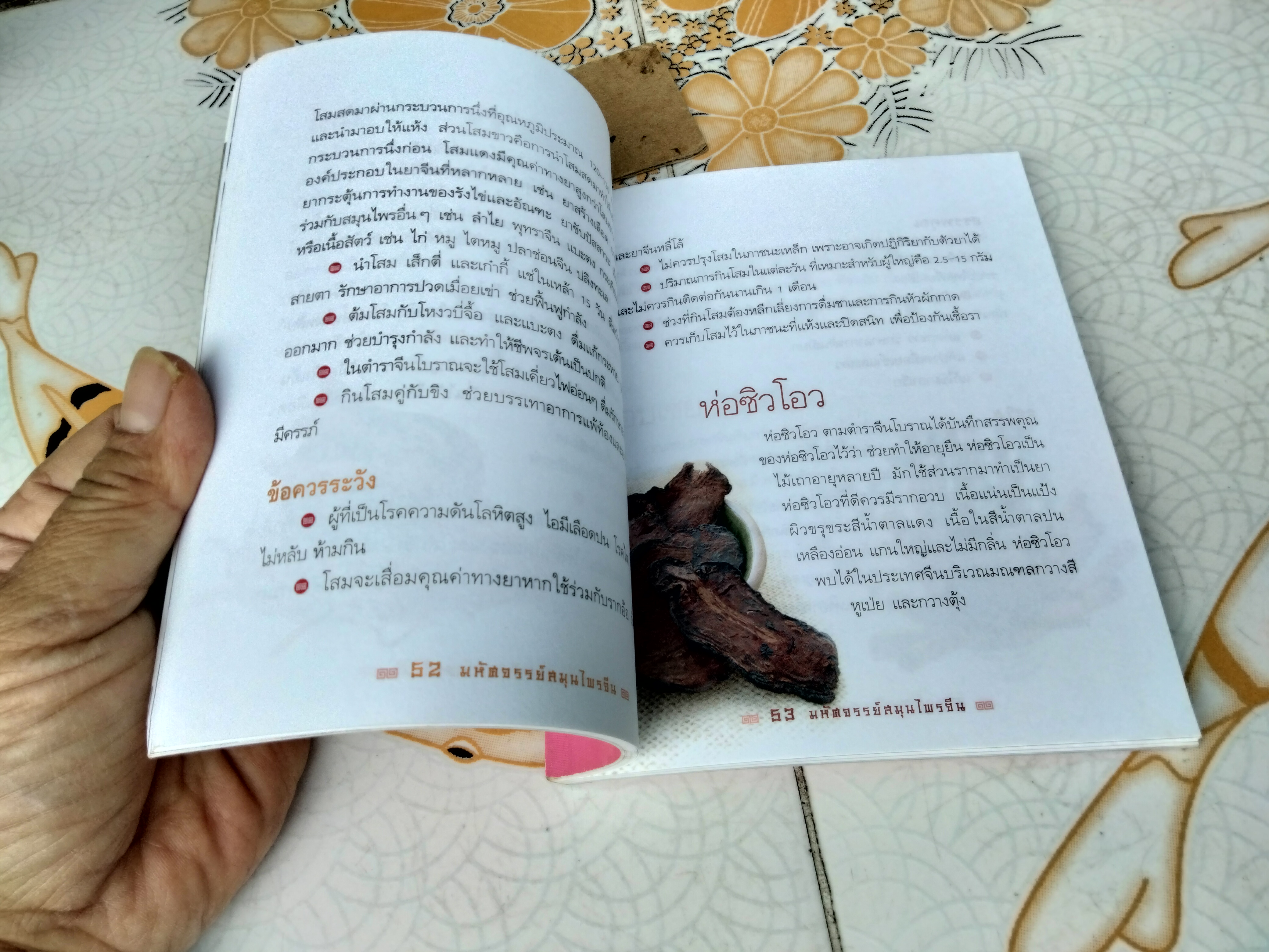 มหัศจรรย์ สมุนไพรจีน - หนังสืออภินันทนาการ โดย บ.หลักทรัพย์จัดการกองทุน กสิกรไทย จำกัด