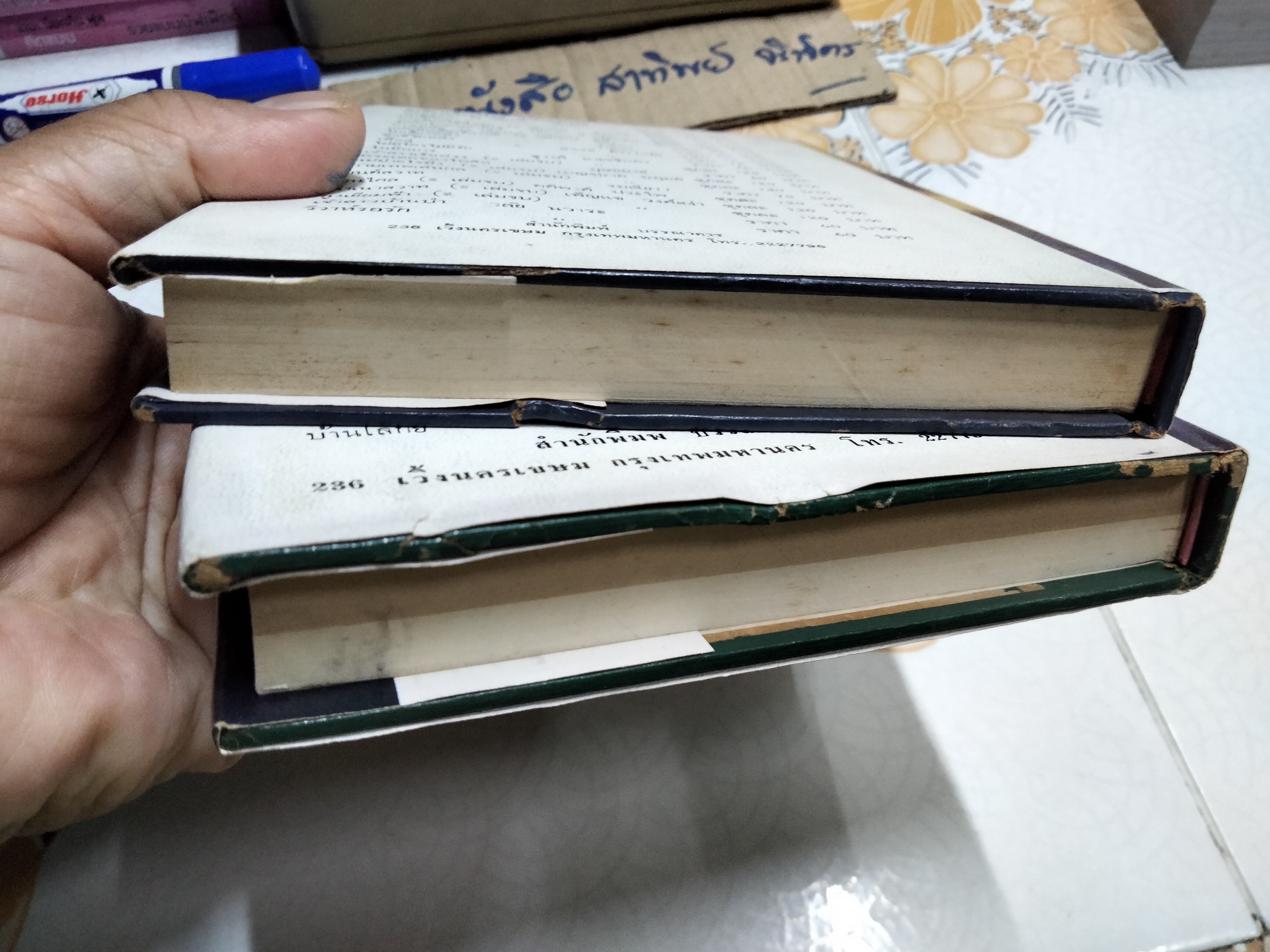 แผ่นดินนี้ยังรื่นรมย์ (2 เล่มจบ) - สีฟ้า **สินค้าหมด**