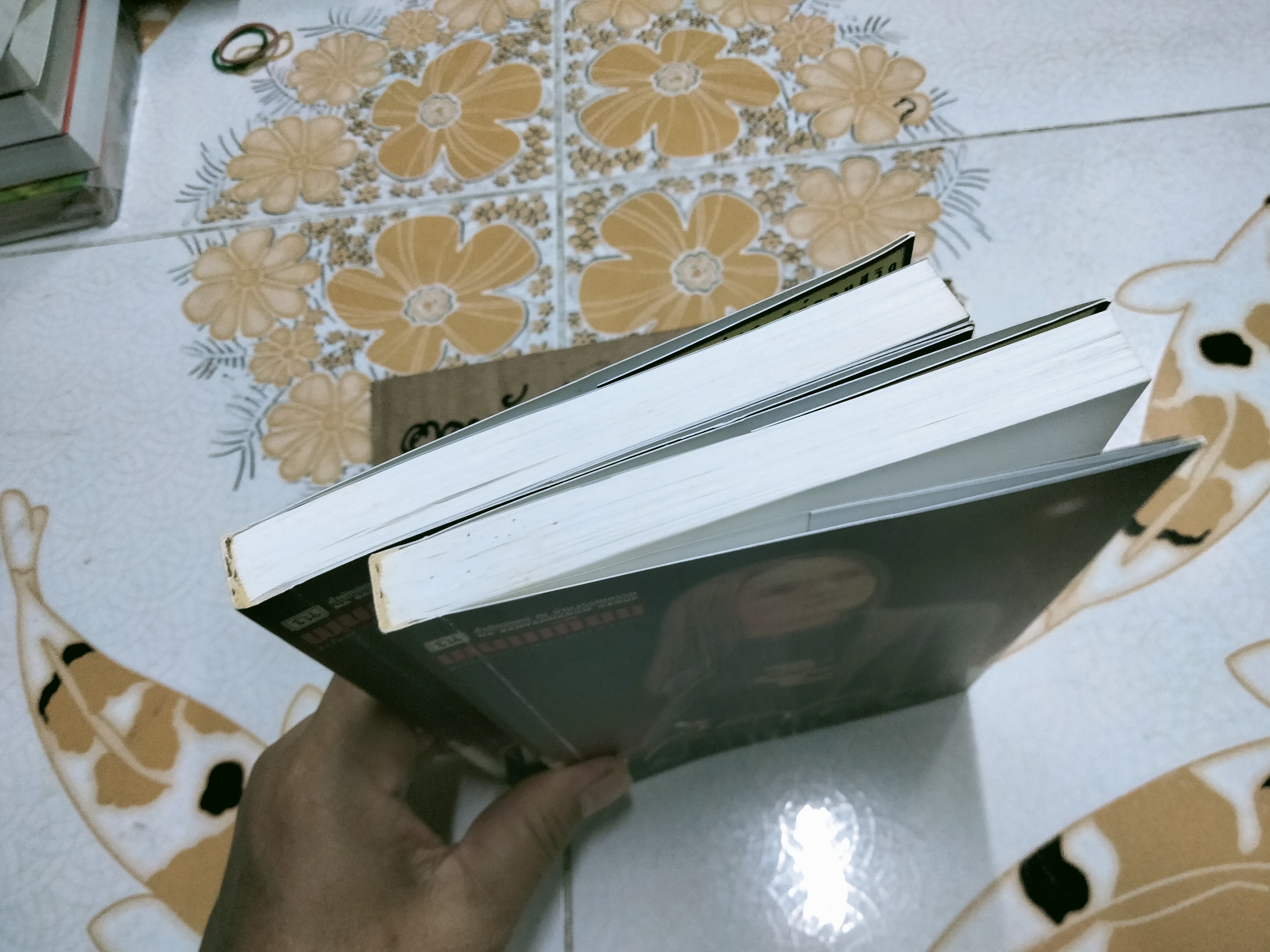 เห่าดง (2 เล่มจบ) โดย พนมเทียน - นิยายเล่มแรกของพนมเทียน **สินค้าหมด**