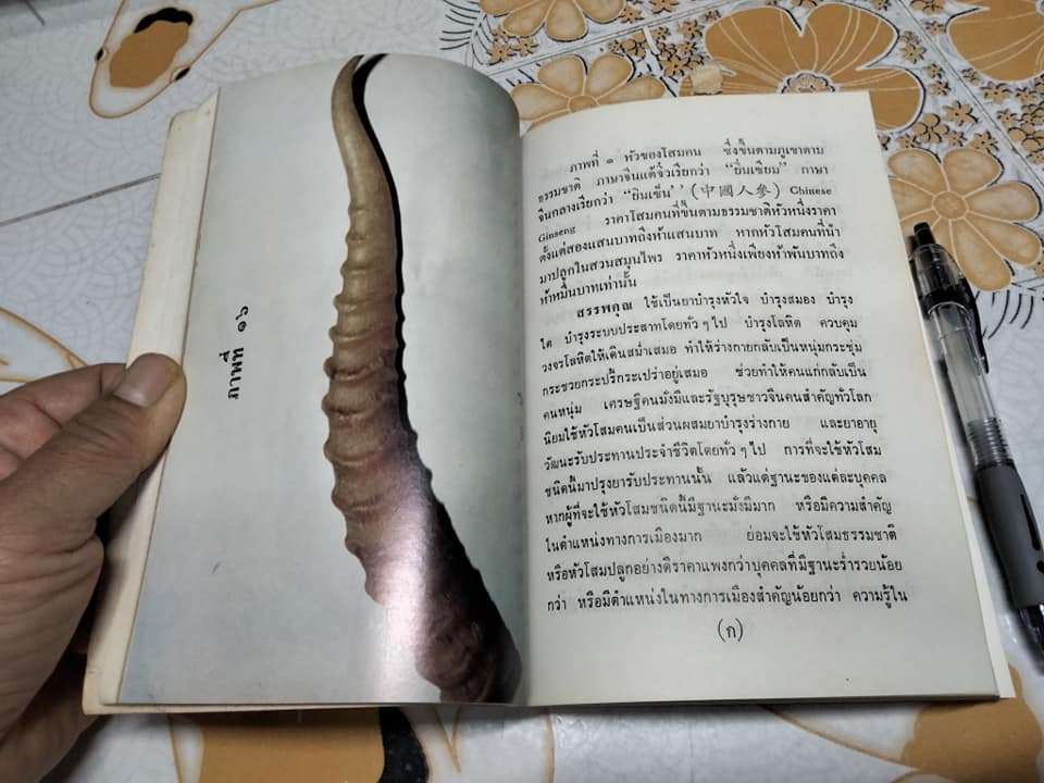 คู่มือยาสมุนไพร และโรคประเทศเขตร้อนและวิธีบำบัดรักษา ชุด 1 - พ.ต.อ.ชลอ อุทกภาชน์ **จองแล้ว**