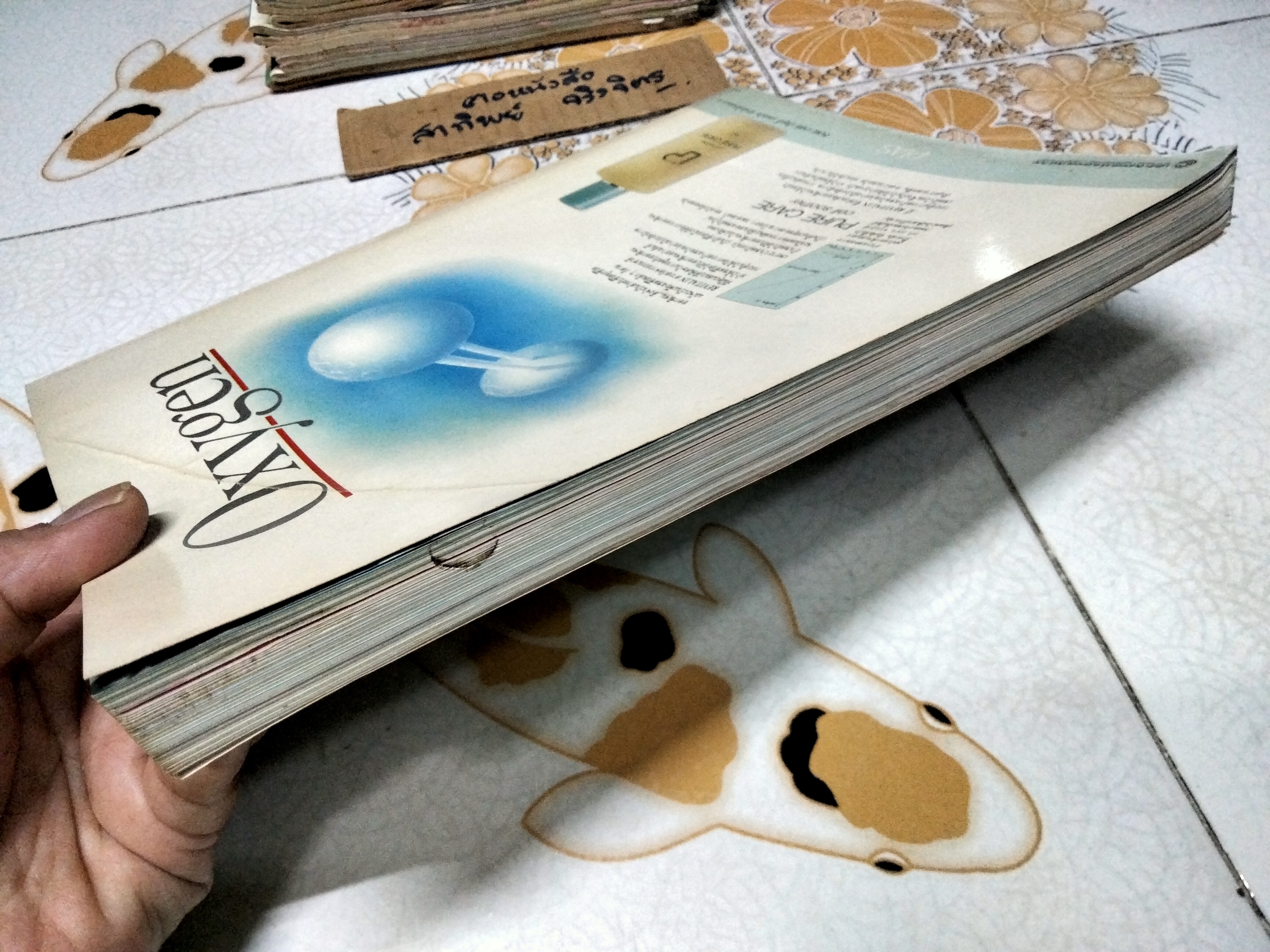 นิตยสารผู้หญิง ฉบับที่ 100 ตุลาคม 2532 (ปก คุณหญิงบุญเรือน ชุณหะวัณ)**สินค้าหมด**