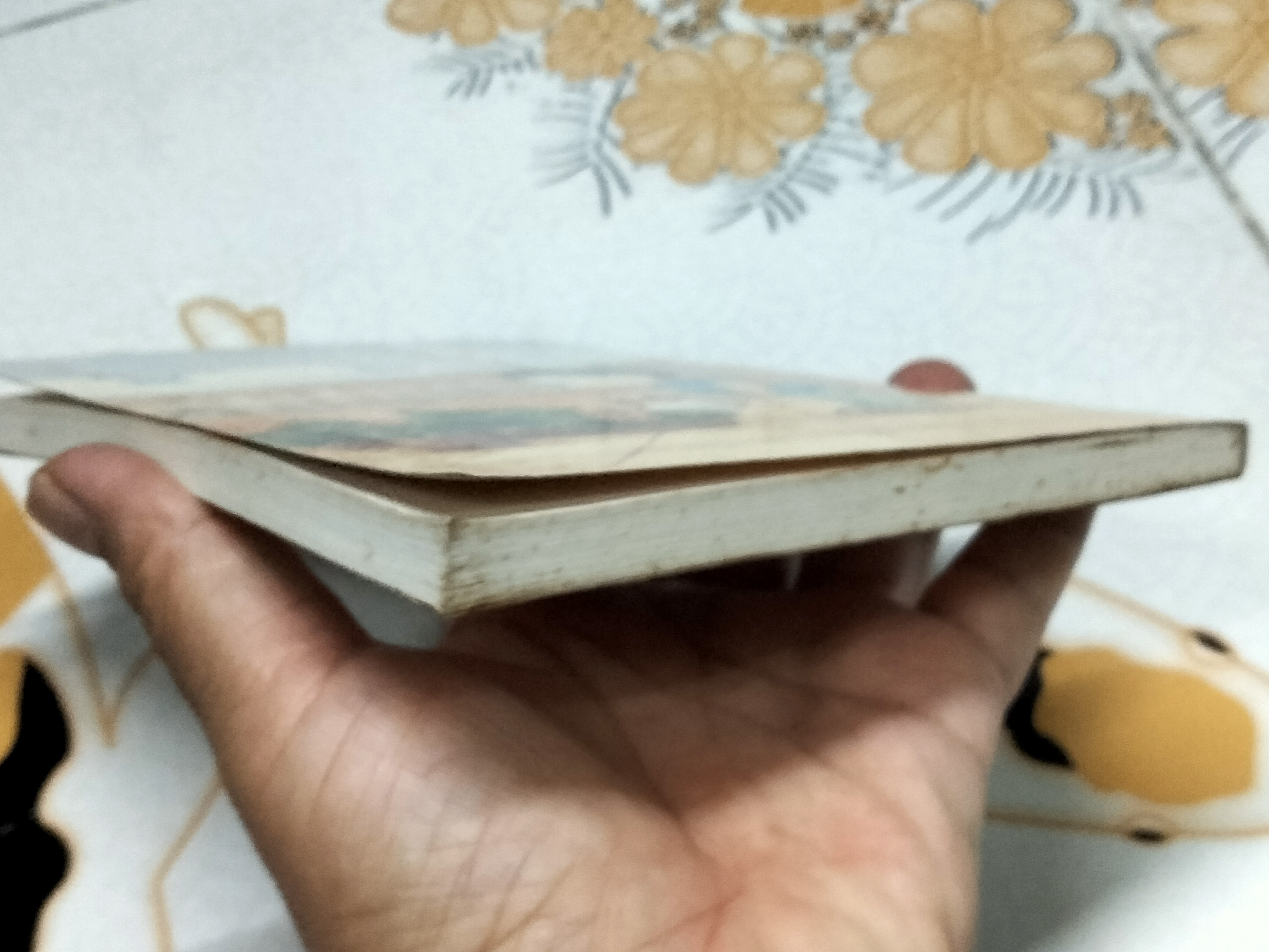 เรื่องของม่าเหมี่ยว - สุมาลี เขียน (มีตราอภินันทนาการ) **สินค้าหมด**