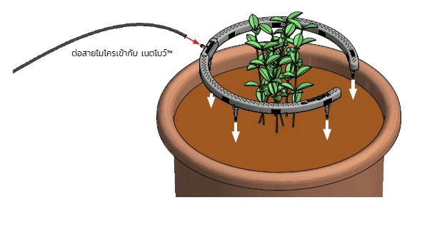 Netbow รุ่น 5 นิ้ว/ 10 นิ้ว