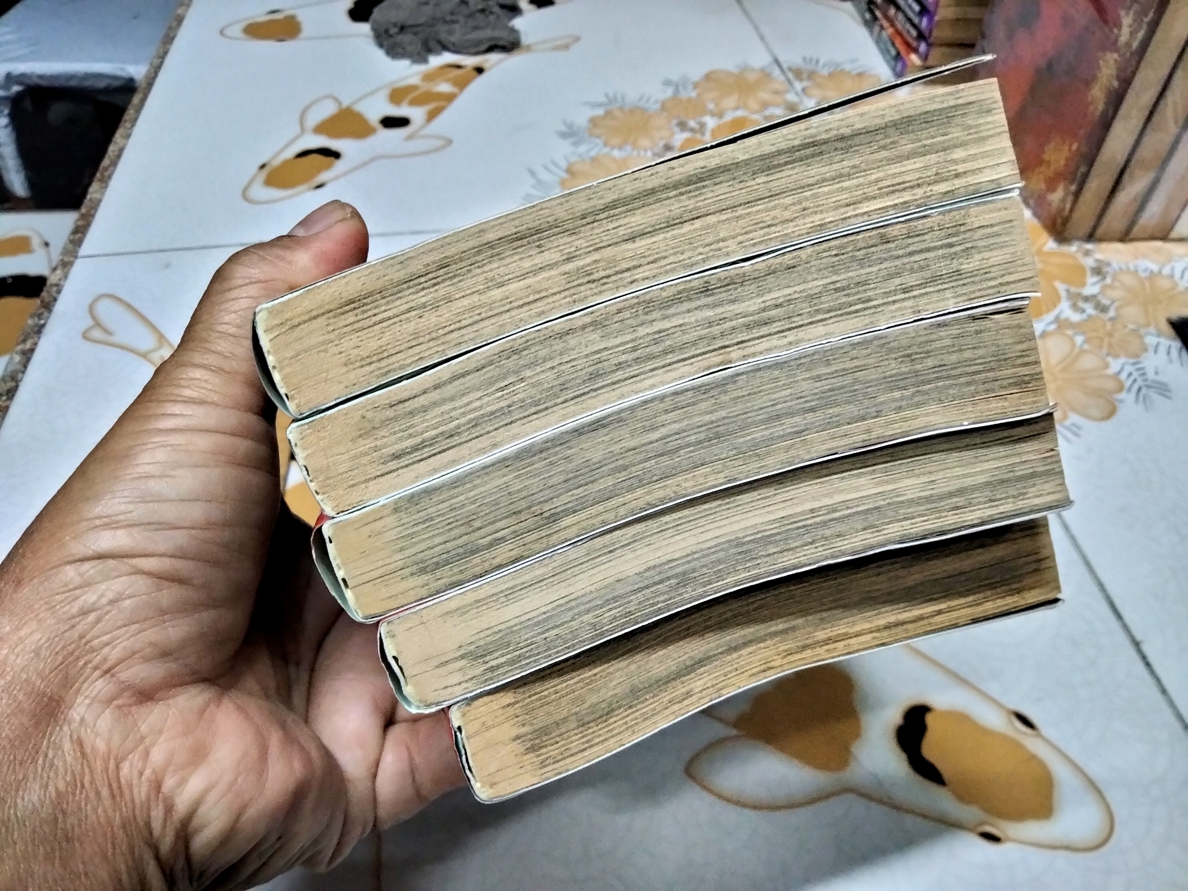 ซันชิโร่ นักสืบตะลุยดะ(5 เล่มจบ) โดย Makoto Kobayashi มาโกโตะ โคบายาชิ **สินค้าหมด**