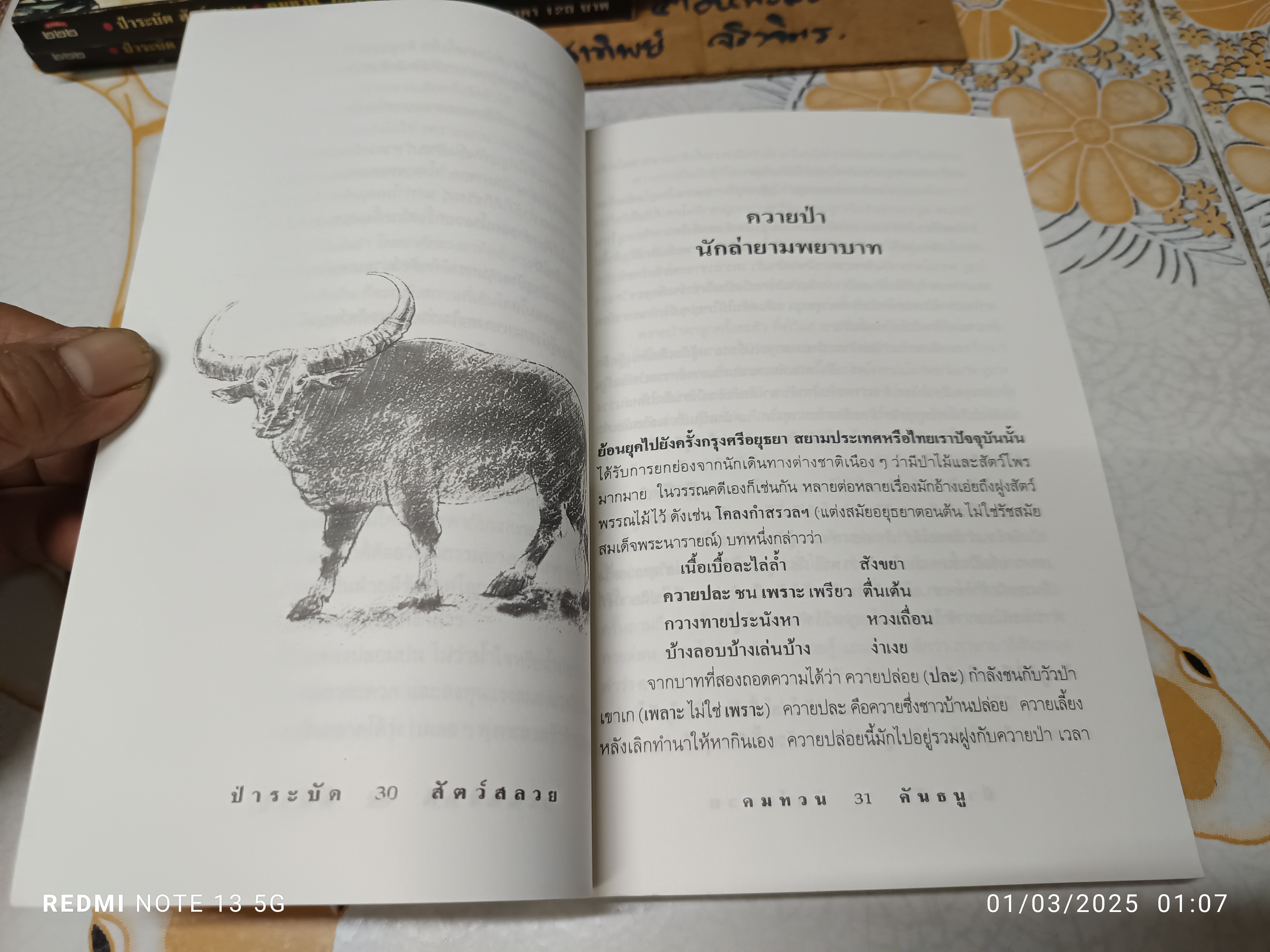 ป่าระบัด สัตว์สลวย (หนึ่งใน 88 เล่มหนังสือดีวิทยาศาสตร์ไทย) ผลงานของ คมทวน คันธนู
