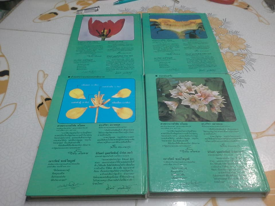 สนุกกับวิทยาศาสตร์ (ครบชุด 4 เล่ม) - หนังสือชุดนี้ เตรียม ชาชุมพร วาดปก **สินค้าหมด**