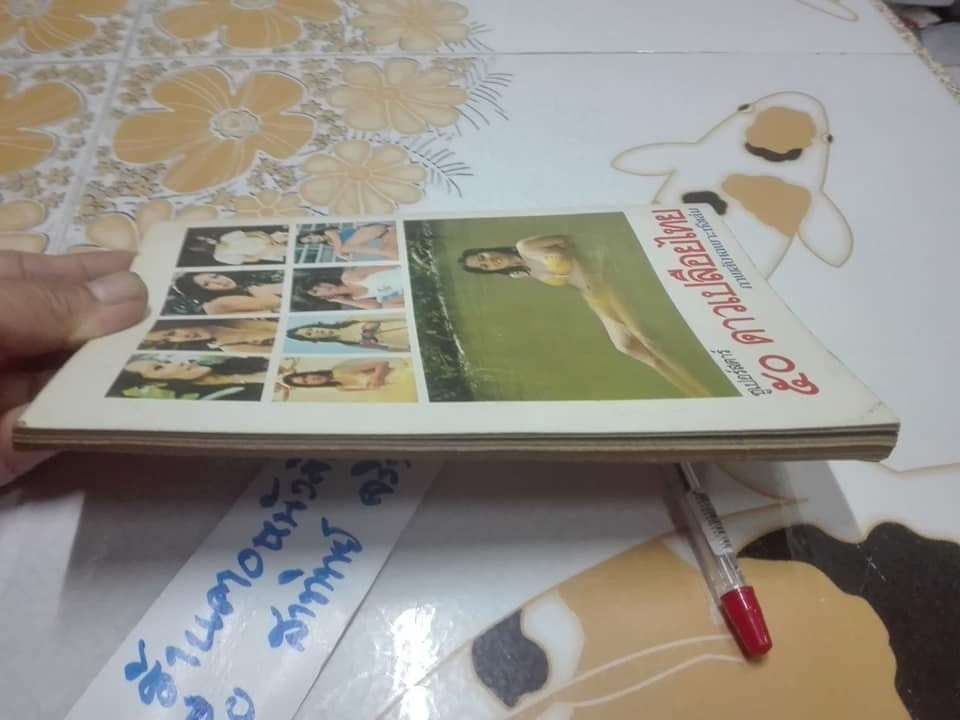 เซ็กซี่ดารา ซูเปอร์สตาร์ 50 ดาวเปลือยไทย **สินค้าหมด**