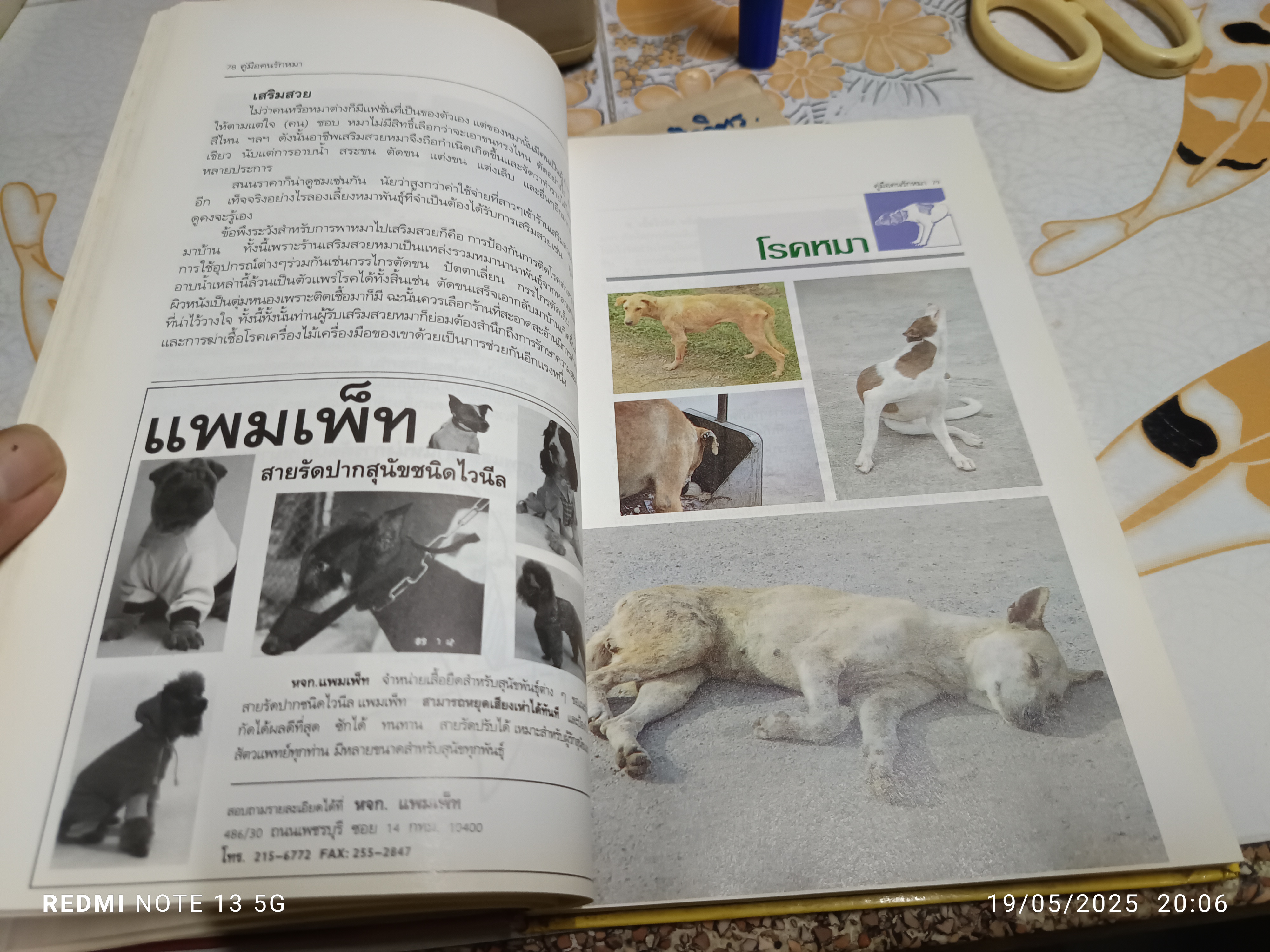 คู่มือ คนรักหมา โดย นายสัตวแพทย์ ปานเทพ รัตนากร พิมพ์ครั้งที่ 2/2533
