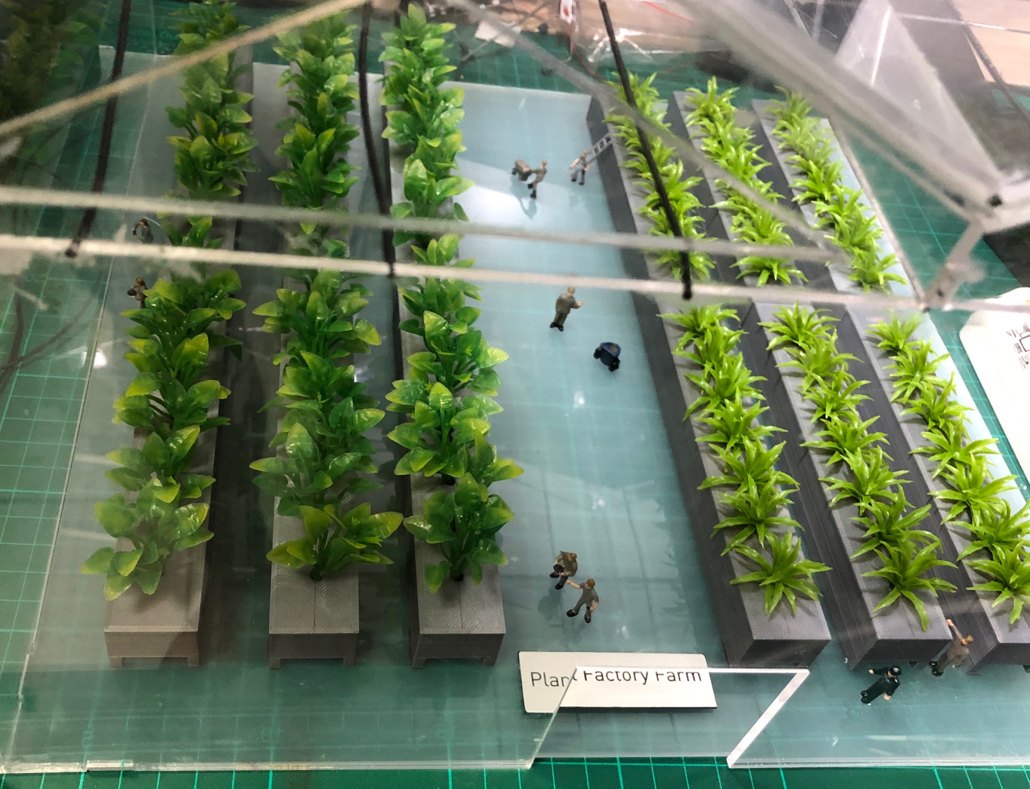 โมเดลโรงเรือนปลูกผักสลัด 30x35 cm พร้อมระบบ Monitoring Farm in Greenhouse