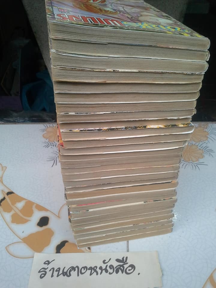 ซามูไร พเนจร (28 เล่มจบ) **สินค้าหมด**