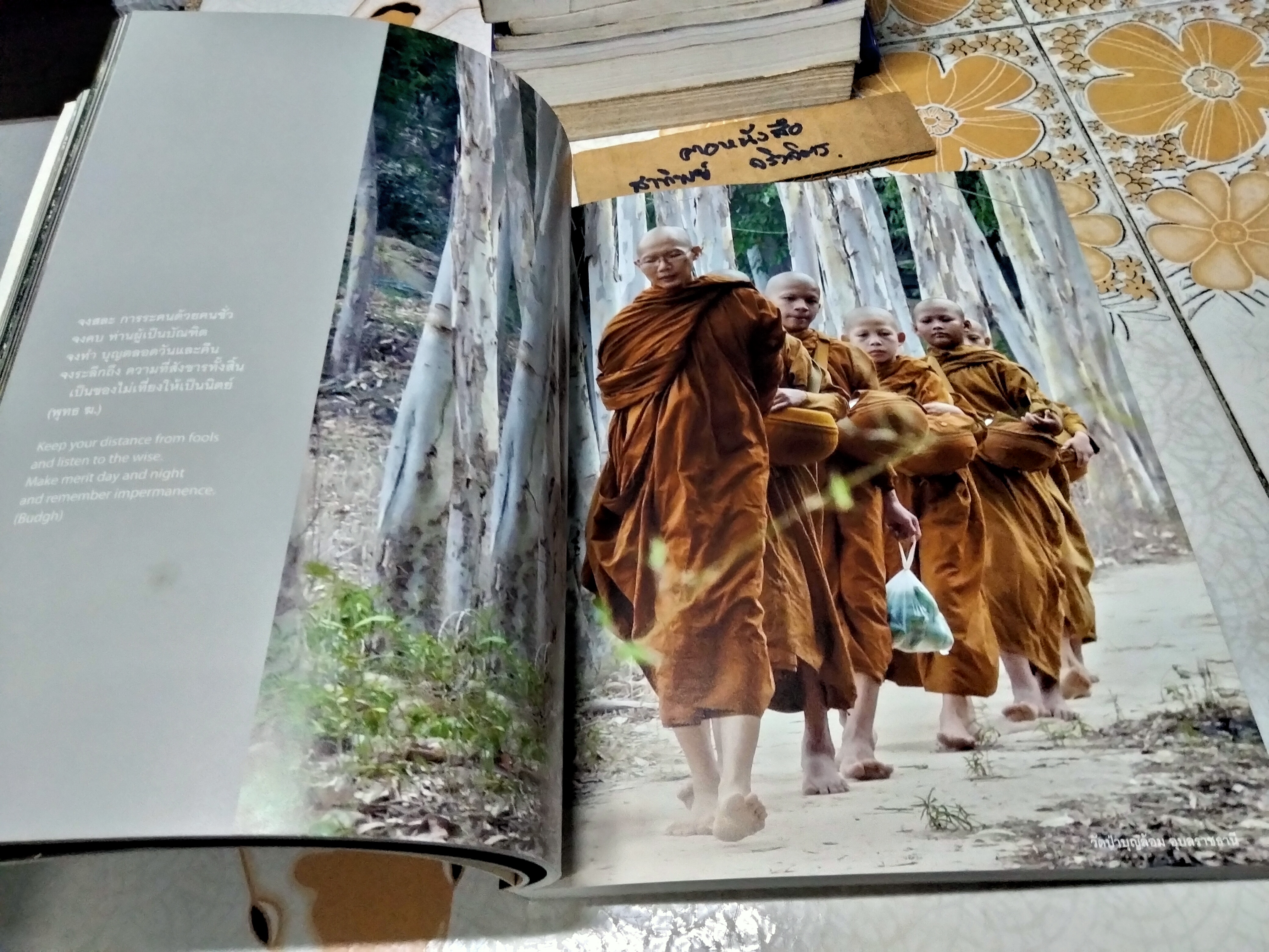 วิถีวิเวก เรียงร้อยภาพศิลป์ จากถิ่นสงบ Dhammafarers , A photographic Journey of the Dhammafarers พร้อมประวัติ พระอาจารย์ชาคิโน**สินค้าหมด**