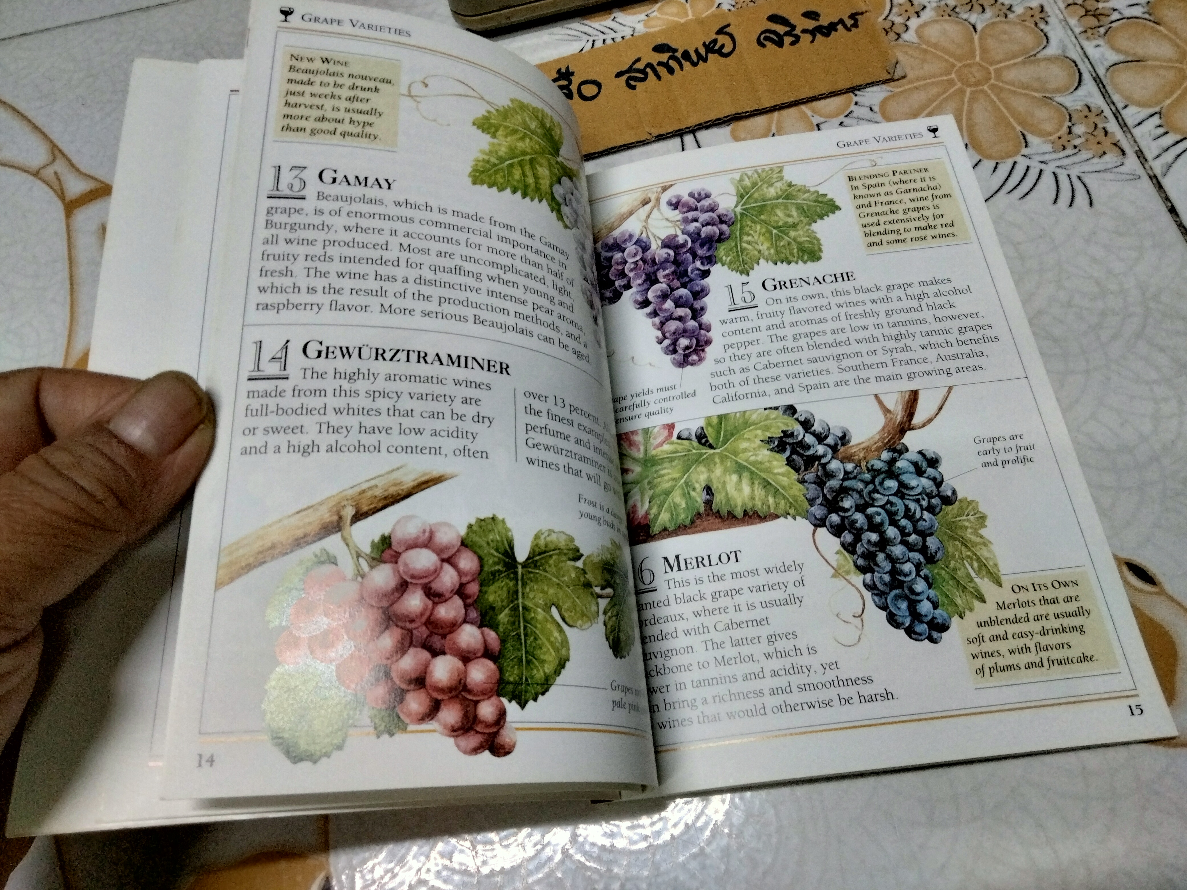 101 Essential Tips Wine by Tom Stevenson