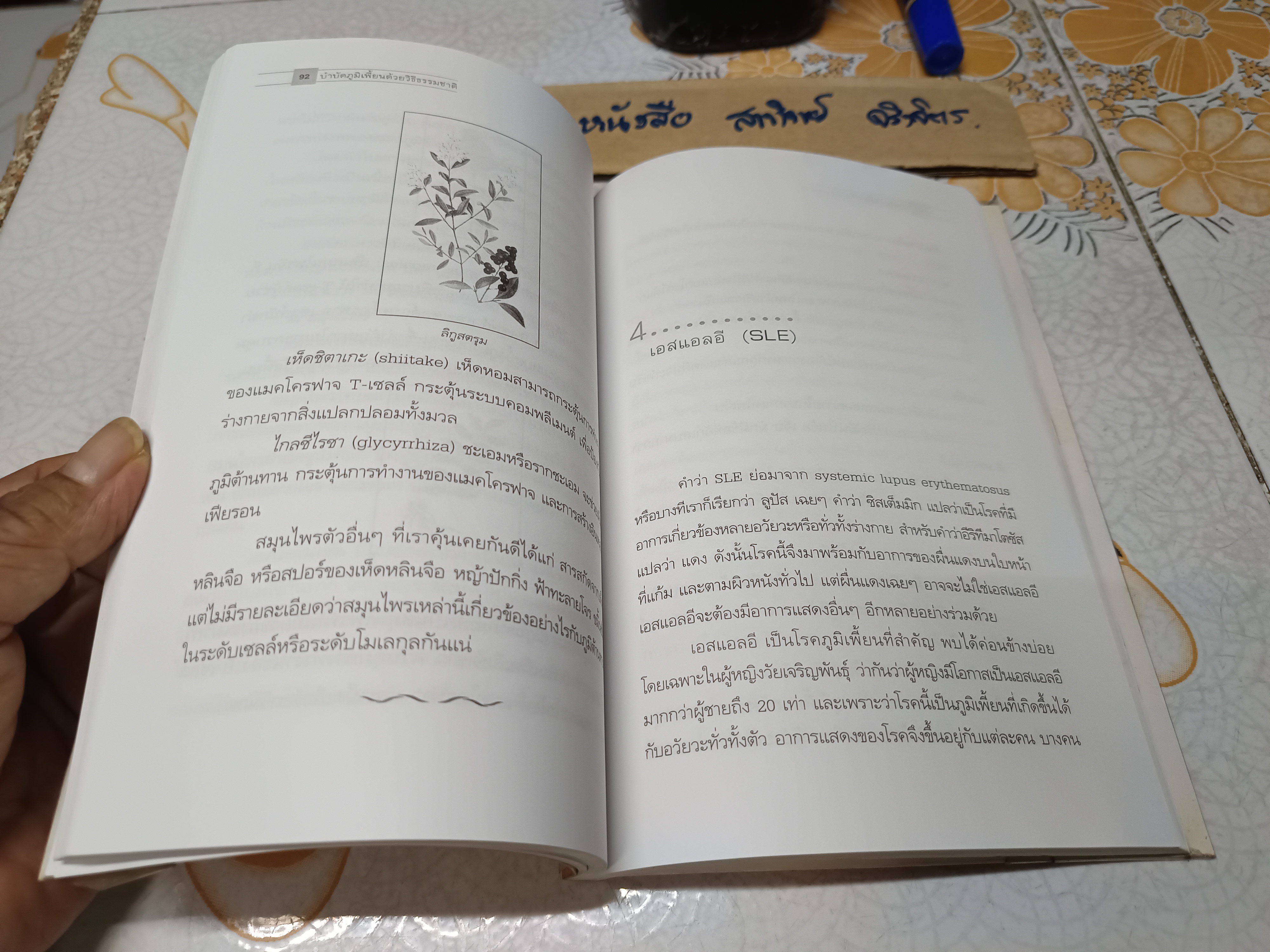 บำบัดภูมิเพี้ยน ด้วยวิธีธรรมชาติ โดย พญ. ลลิตา ธีระสิริ **สินค้าหมด**