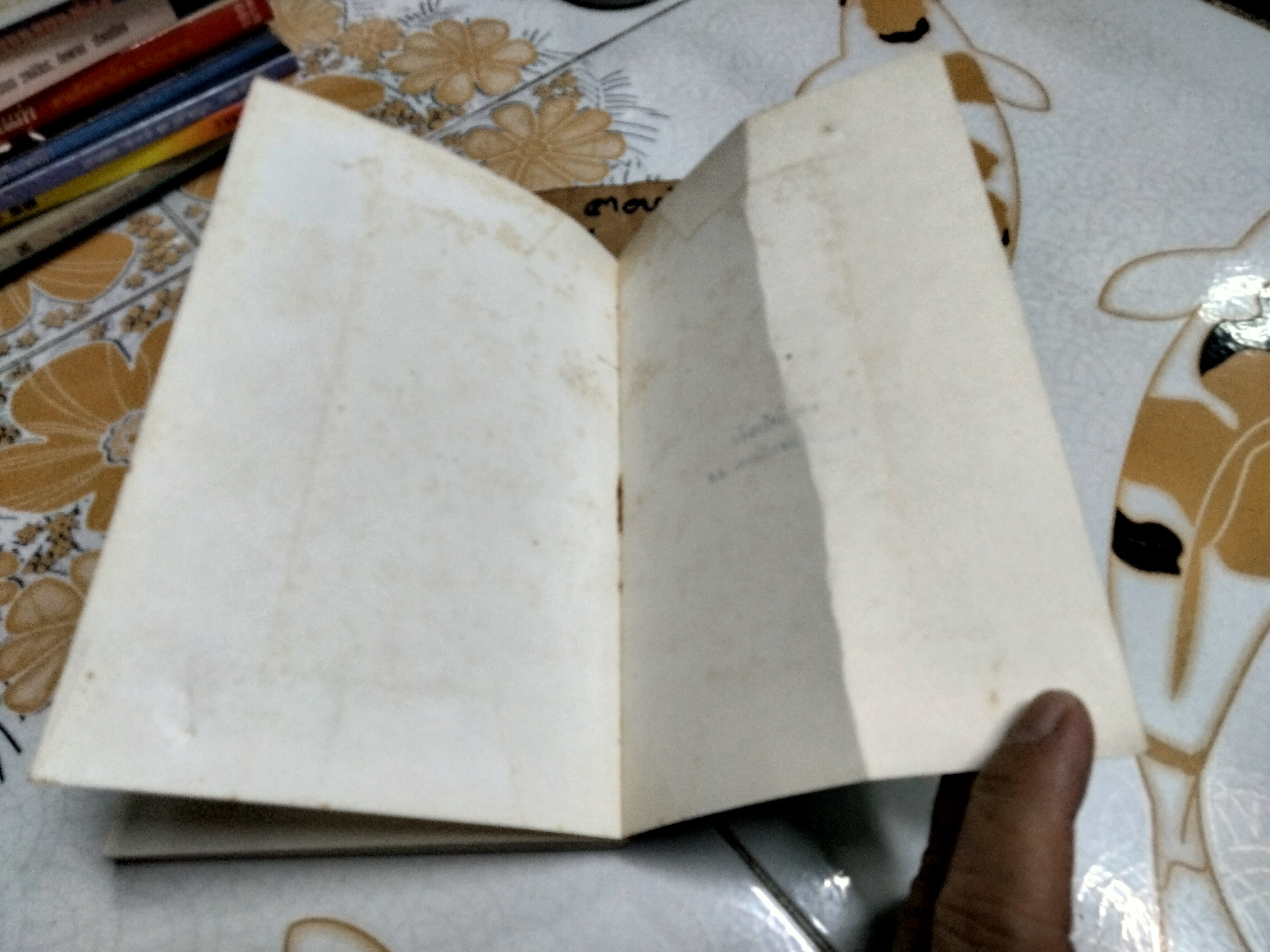 พราวแสงรุ้ง โดย วาวแพร ภาพปกโดย อิวาซากิ ซิฮิโร (IWASAKI CHIHIRO) สำนักพิมพ์หนังสือเยาวชน พิมพ์ครั้งแรก 2529 **สินค้าหมด**