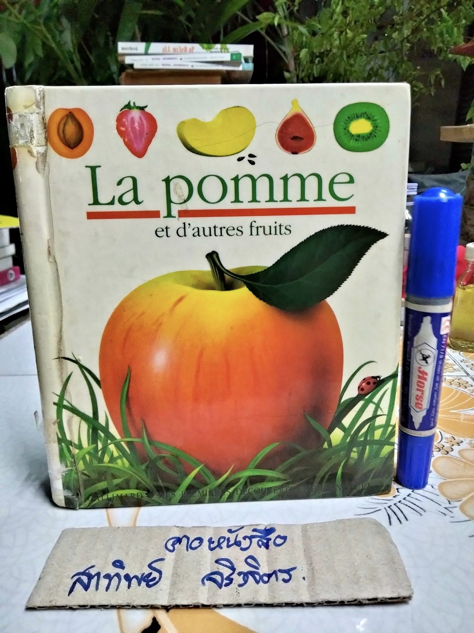 My First Discoveries Book - La pomme - ภาษาฝรั่งเศส (หนังสือจากห้องสมุด)