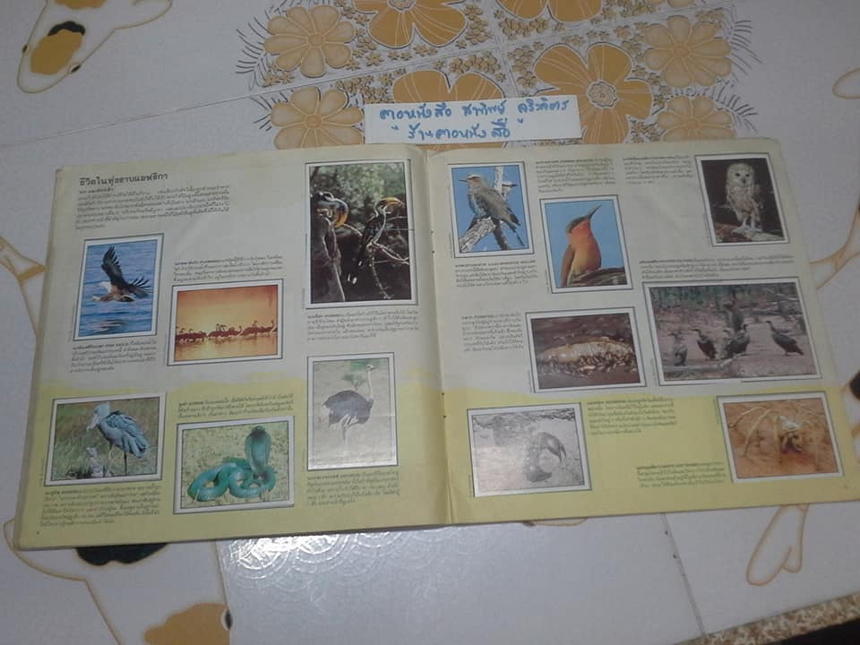 สมุดสะสมสติกเกอร์ ชีวิตสัตว์โลก - แปะครบ (ตัวเล่มมีคราบน้ำ มุมบนมีรอยยับ) **สินค้าหมด**