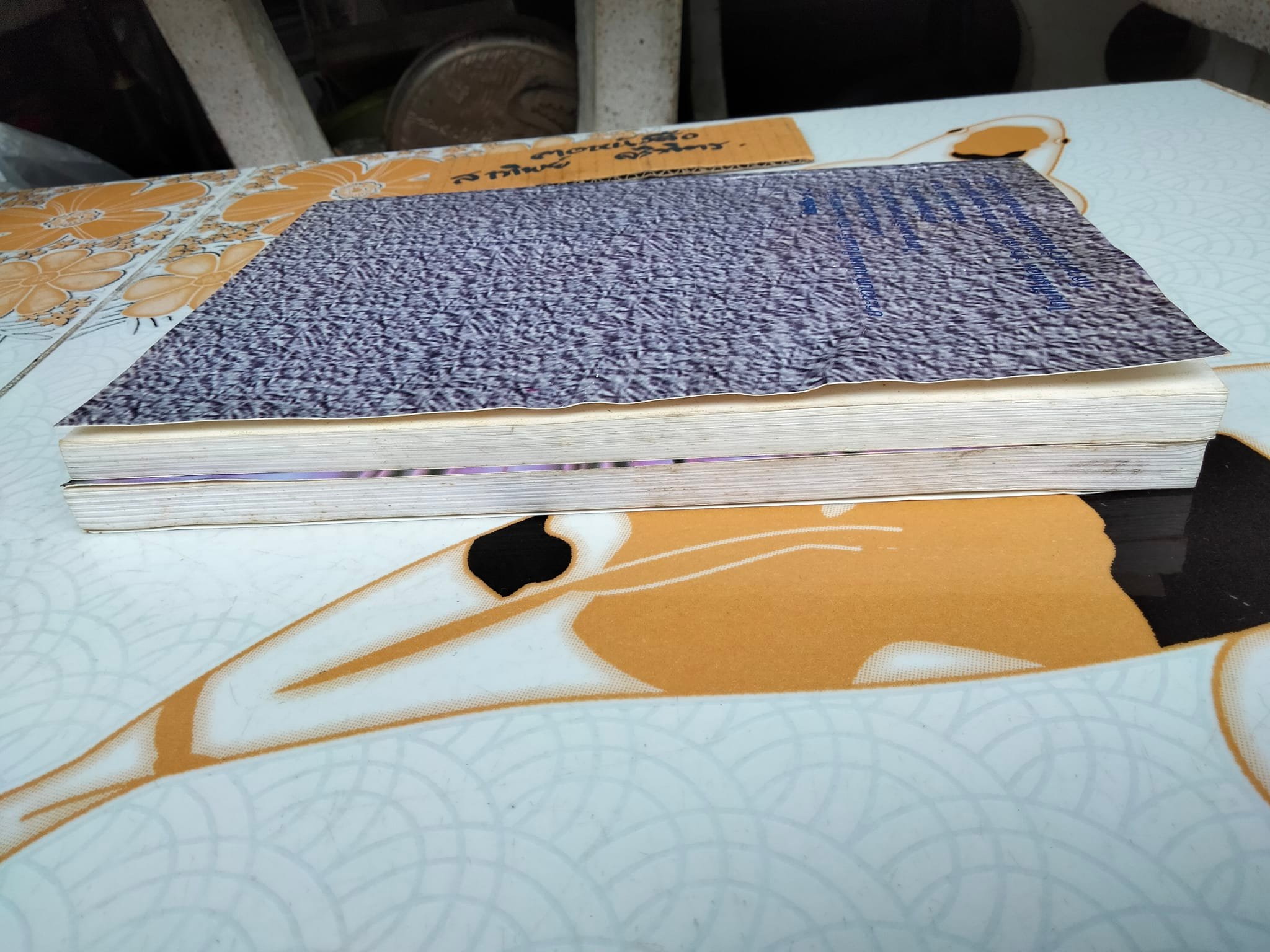 โคตรโกง x 2 - โคตรมหาโกง โดย ใบไผ่เขียว (ขายรวม 2 เล่ม)**สินค้าหมด**