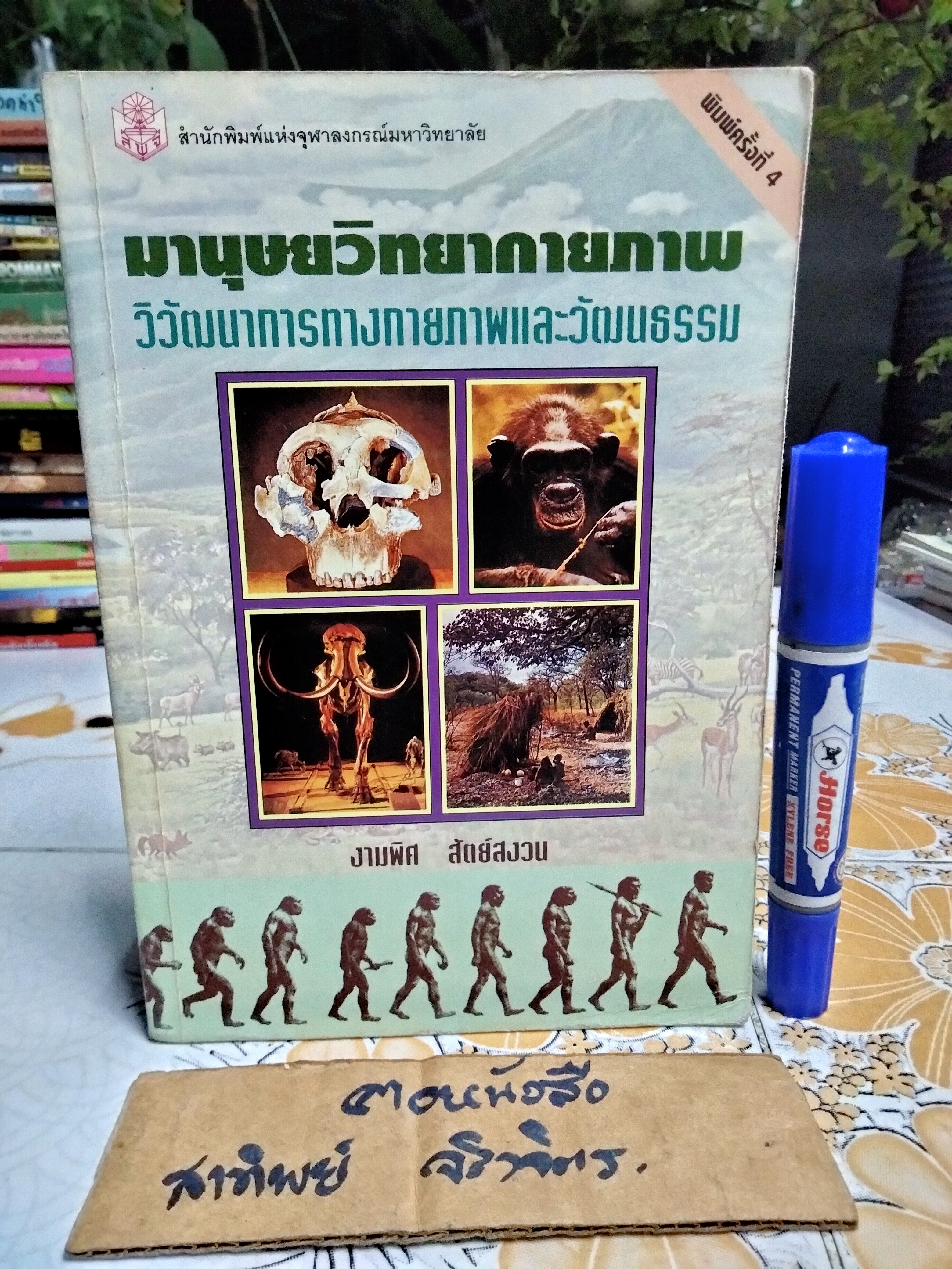 มานุษยวิทยากายภาพ : วิวัฒนาการทางกายภาพและวัฒนธรรม ผู้เขียน รศ.ดร. งามพิศ สัตย์สงวน **สินค้าหมด**