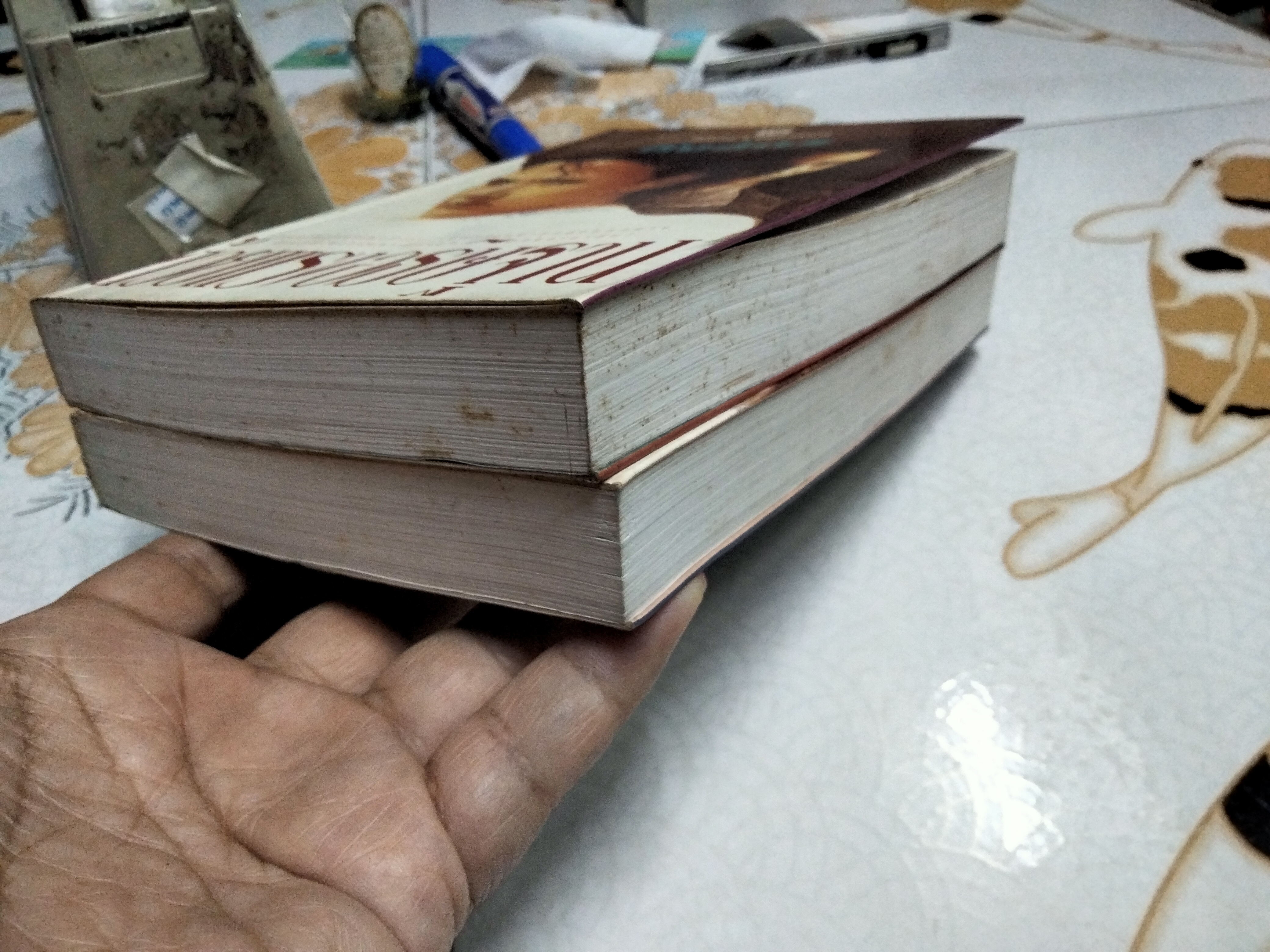 ด้วยแรงอธิษฐาน (2 เล่มจบ) โดย กิ่งฉัตร