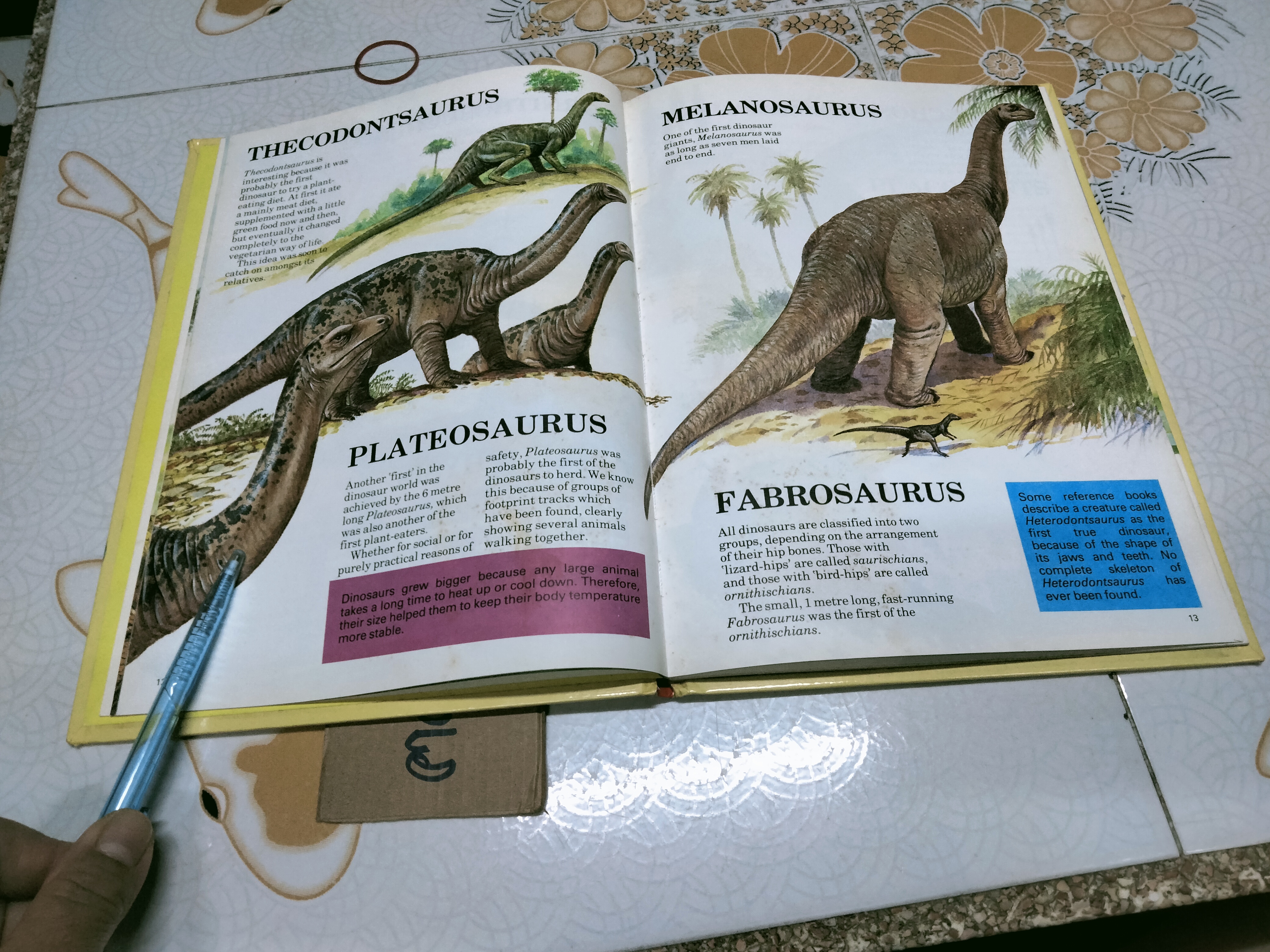 All about DINOSAURS - DERRYDALE BOOKS