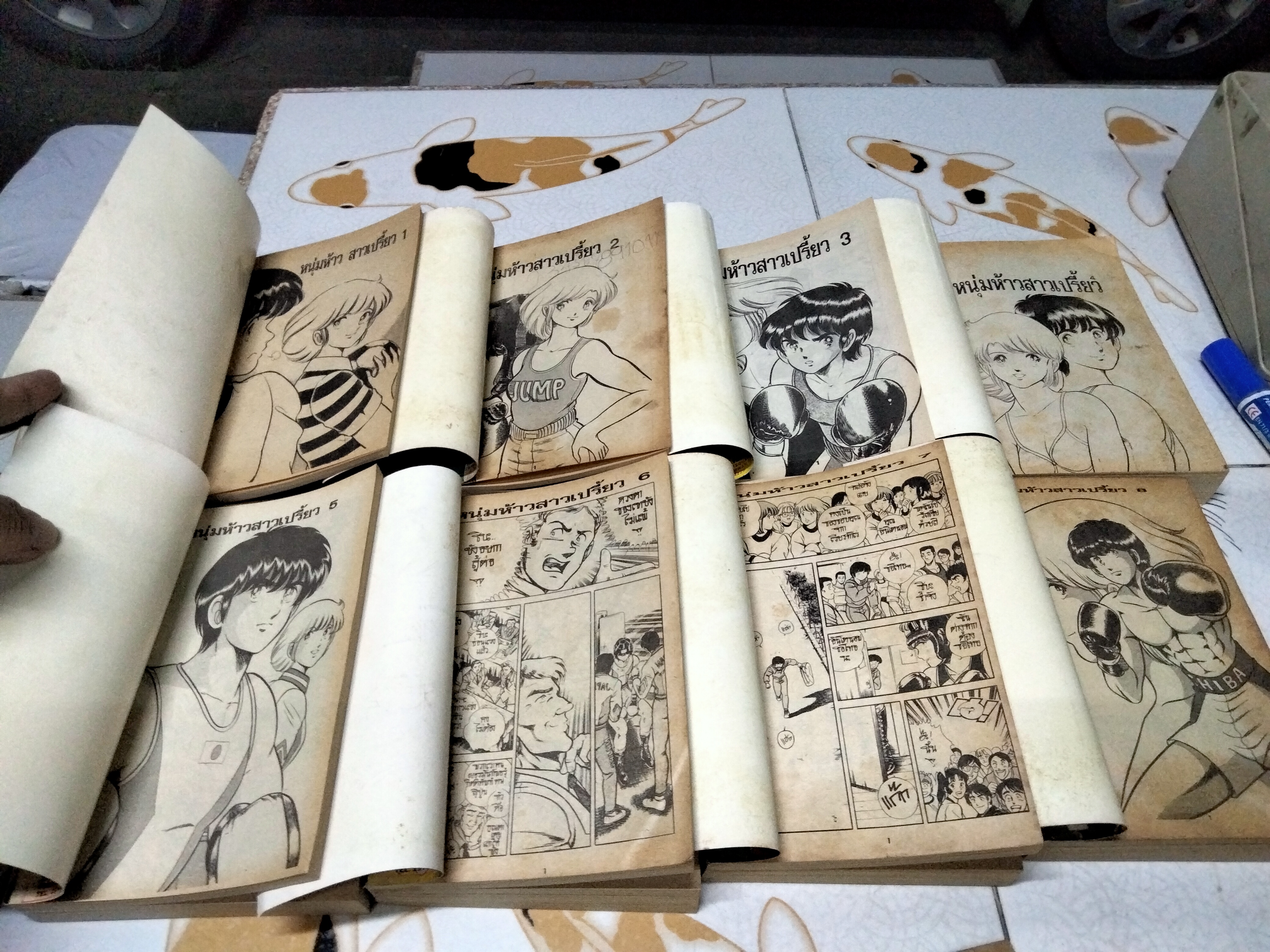 หนุ่มห้าวสาวเปรี้ยว (1-15 สนพ.หมึกจีน) + หมัดสั่งสร้างฝัน (เล่มที่ 45,46,47 สยามอินเตอร์ฯ)