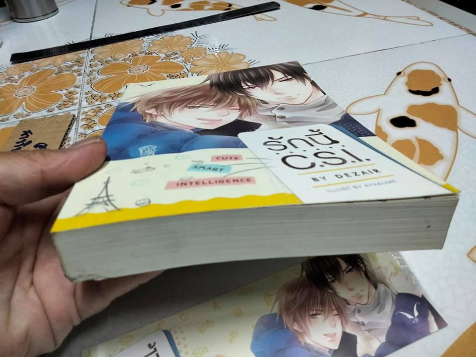 รักนี้ C.S.I. CUTE SMART INTELLIGENCE - Dezair