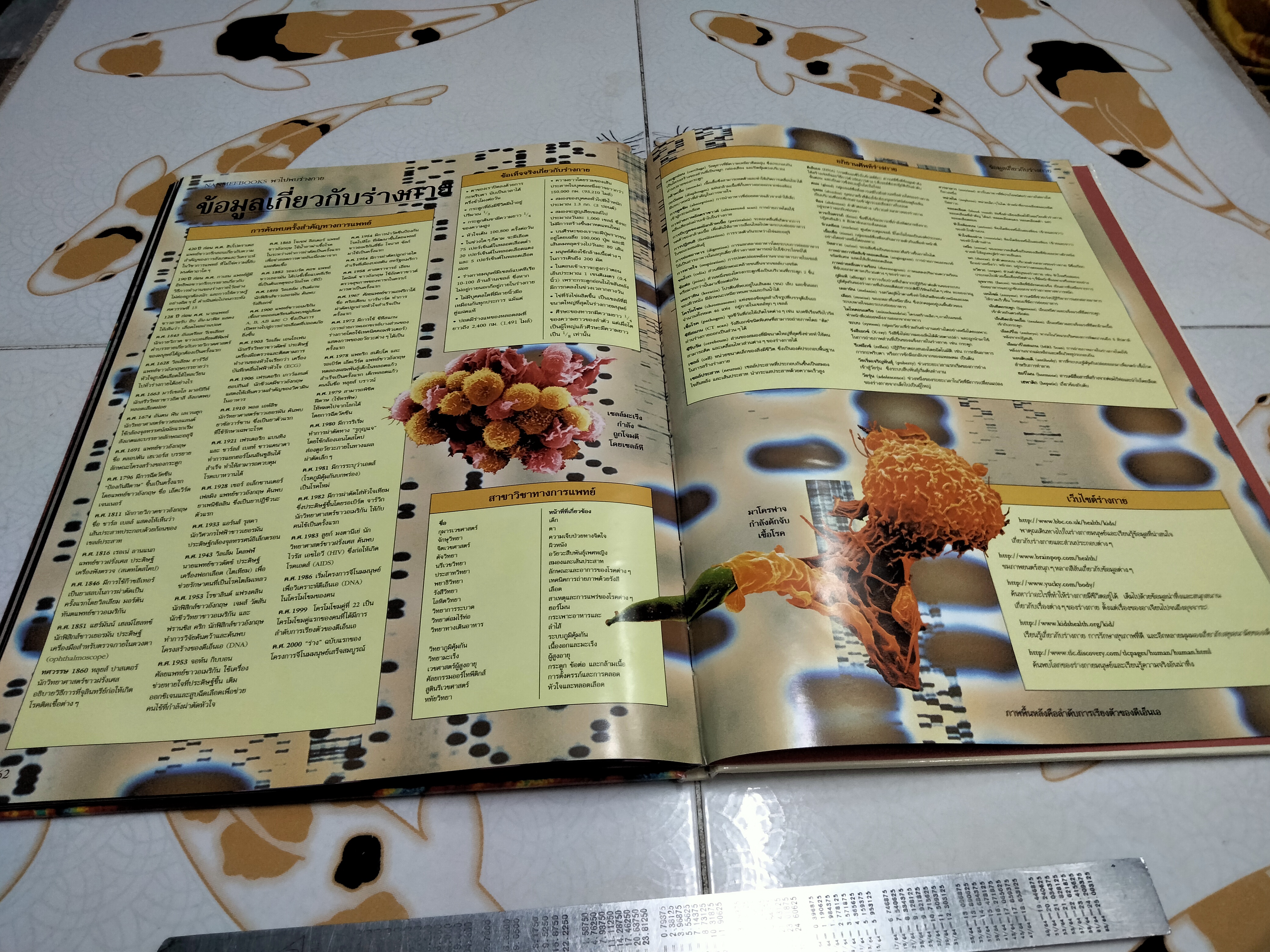 NANMEEBOOKS พาไปพบร่างกาย - Richard Walker เขียน, มีนา โอวราวินทร์ แปล (มีตราประทับจากห้องสมุดที่ใบรองปกหน้าและหลัง)