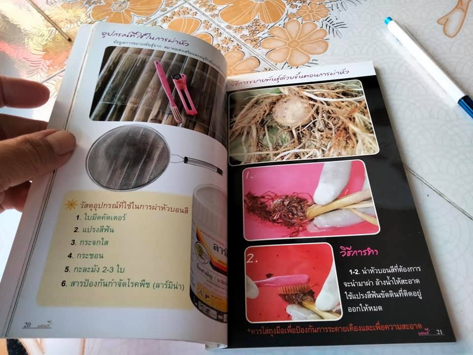 บอนสี - ร้อยพรรณพฤกษา โดย อ.เศรษฐมันตร์ กาญจนกุล พิมพ์ครั้งแรก พ.ศ.2550 **สินค้าหมด**