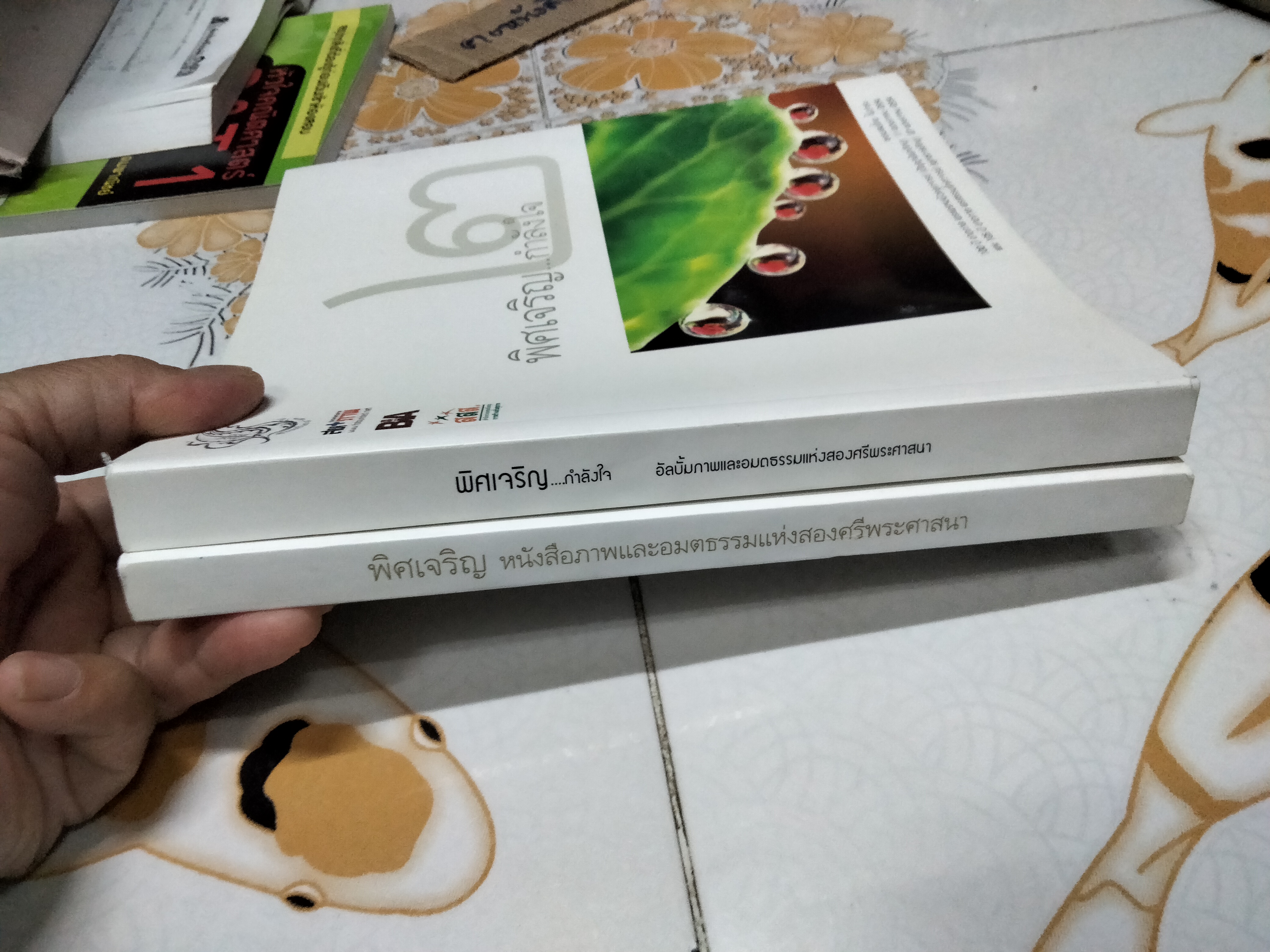 พิศเจริญ 1-2