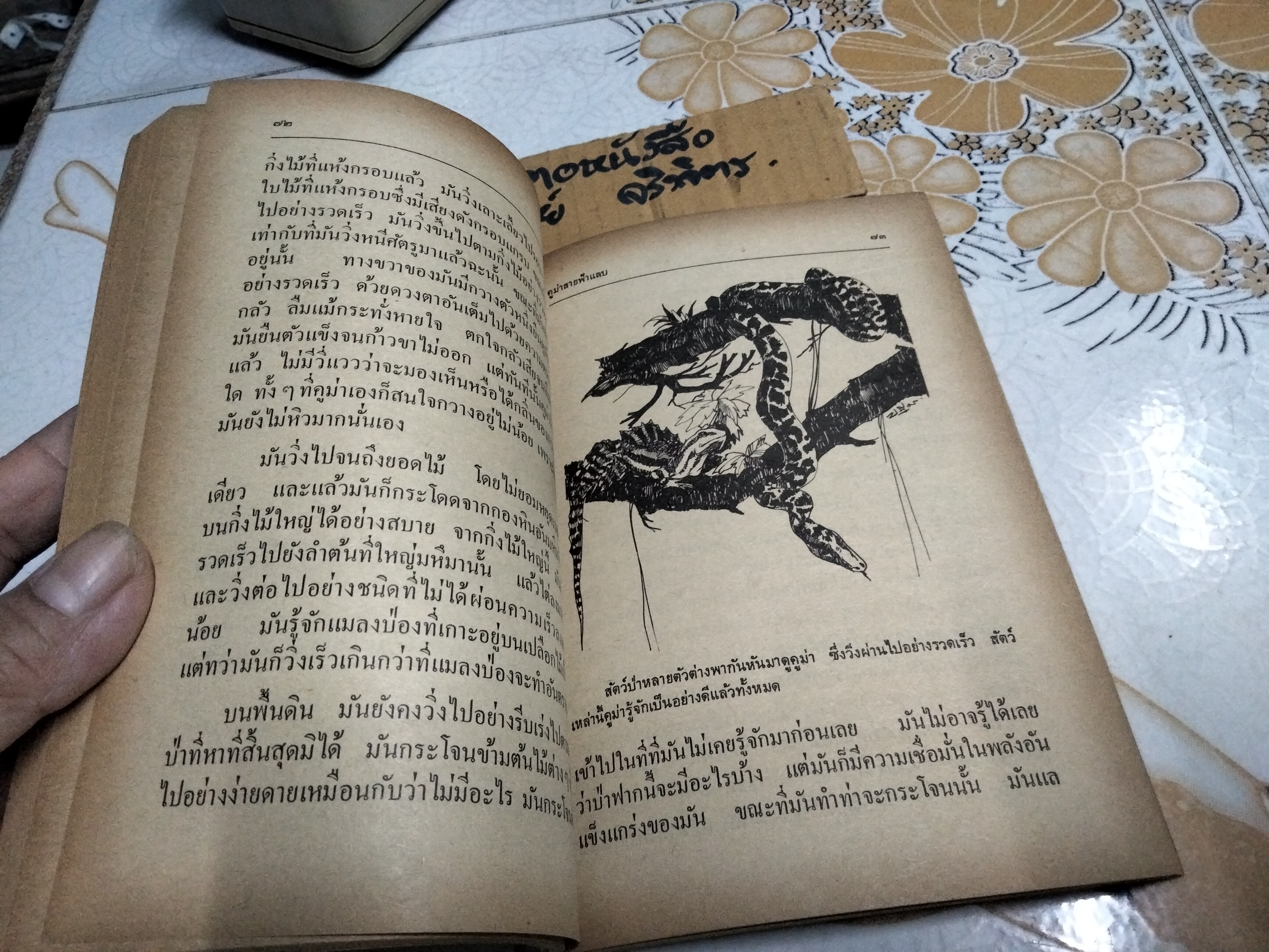 เสือขาว White Panther หนังสืออ่านสำหรับเยาวชนตามโครงการหนังสือเด็กของกองบรรณาธิการชัยพฤกษ์ ชุด 9 อันดับ 1 พ.ศ 2520 **สินค้าหมด**