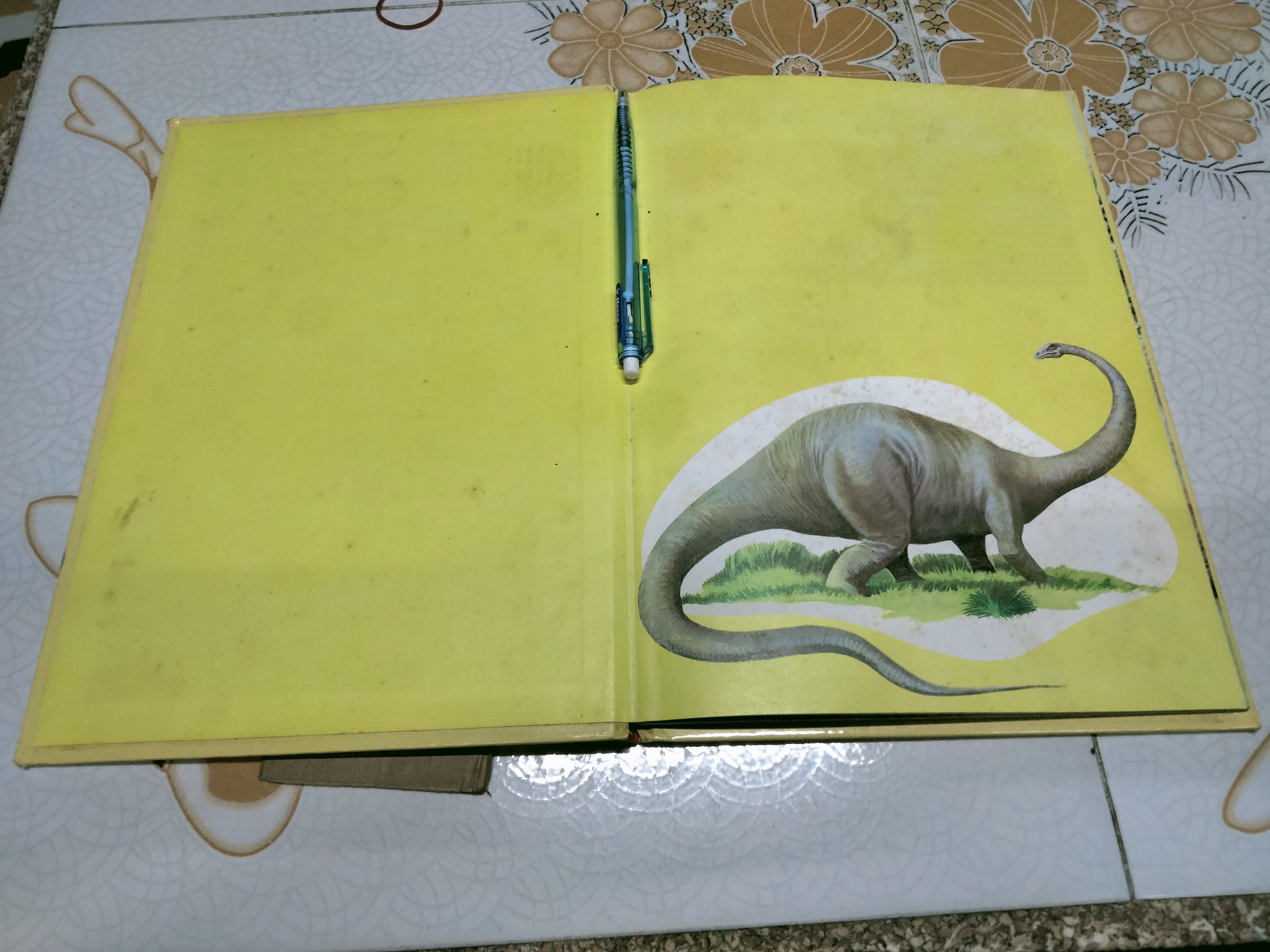 All about DINOSAURS - DERRYDALE BOOKS